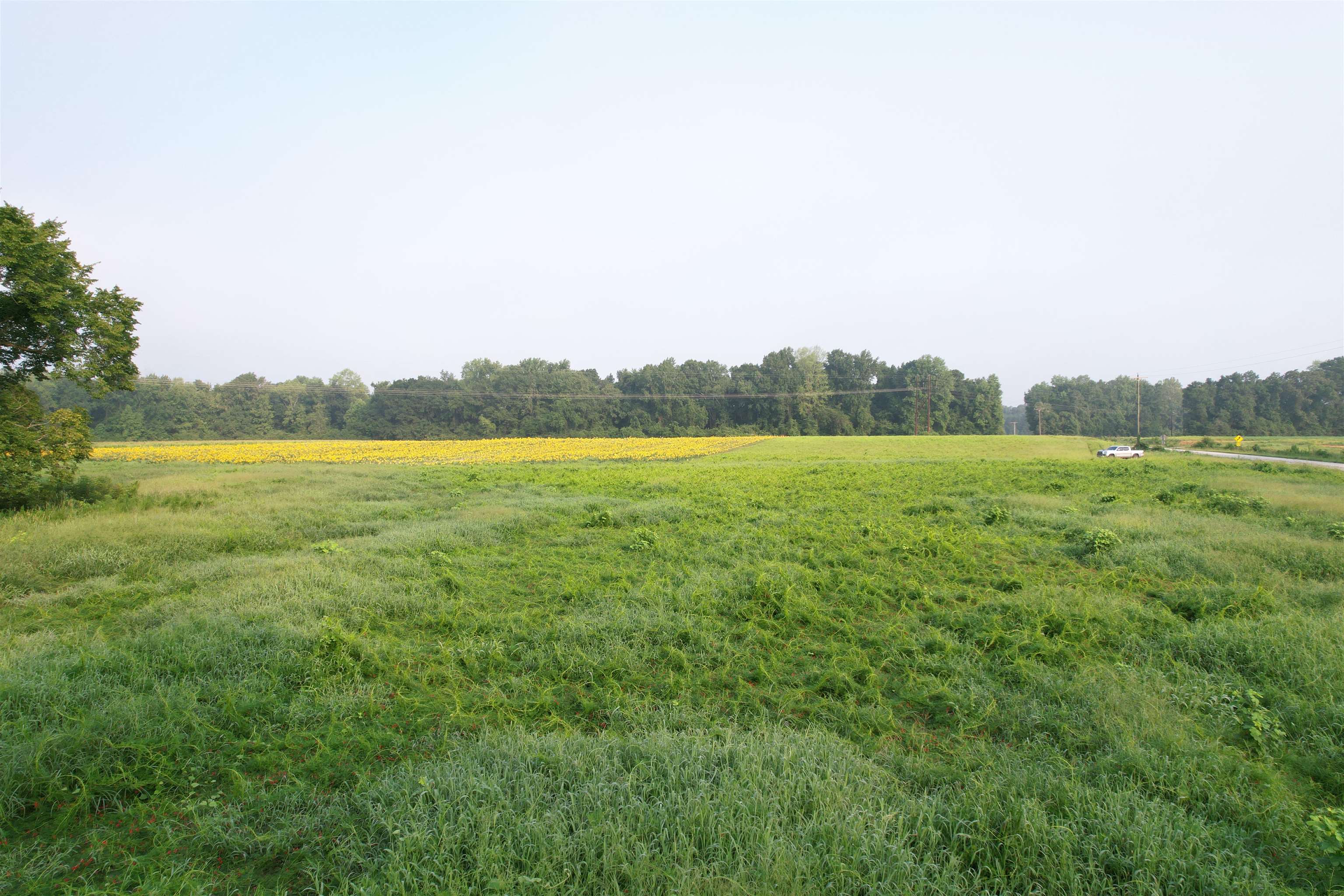 9.58 Acres - S Deerfield Rd. Property Photo 6