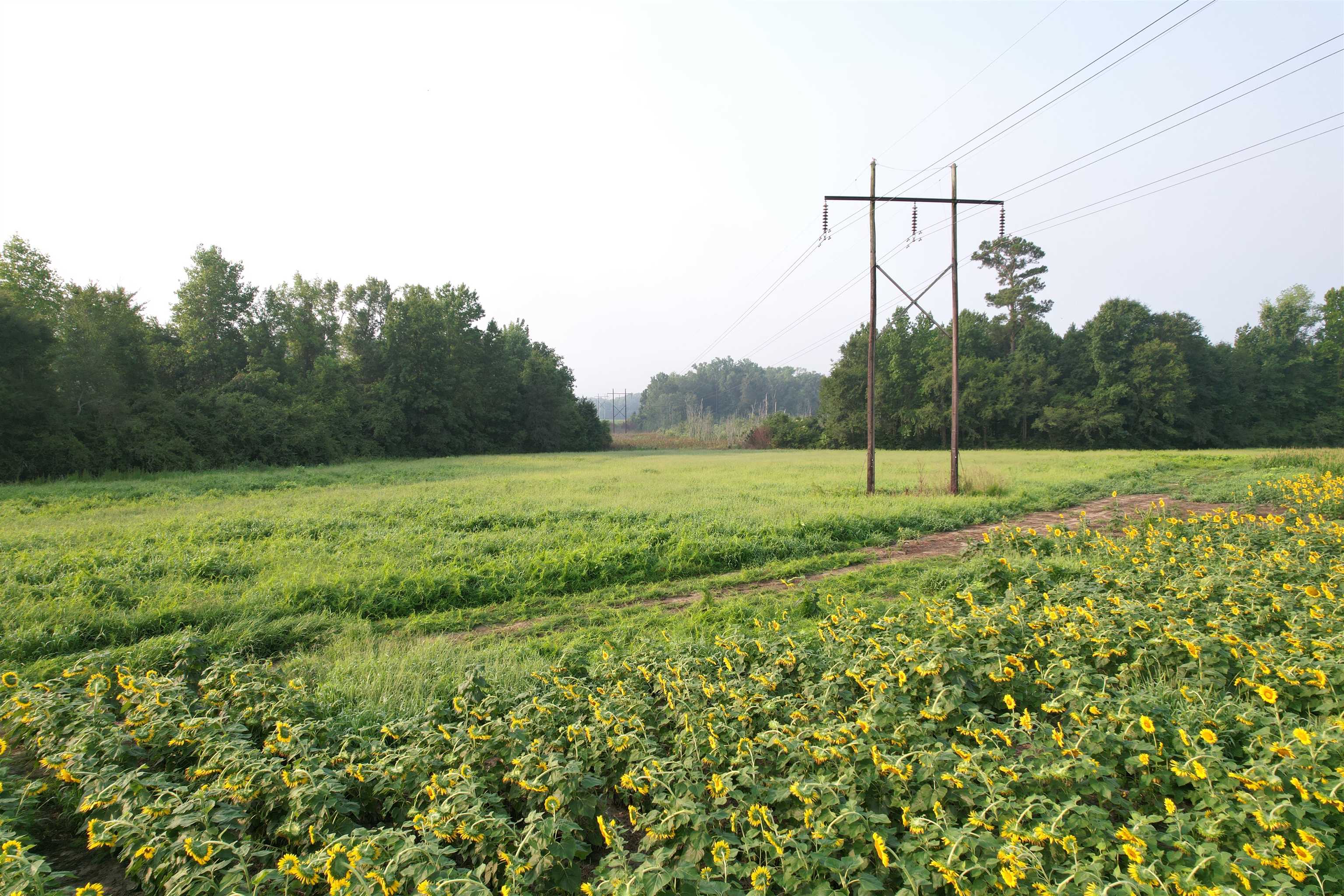 9.58 Acres - S Deerfield Rd. Property Photo 8