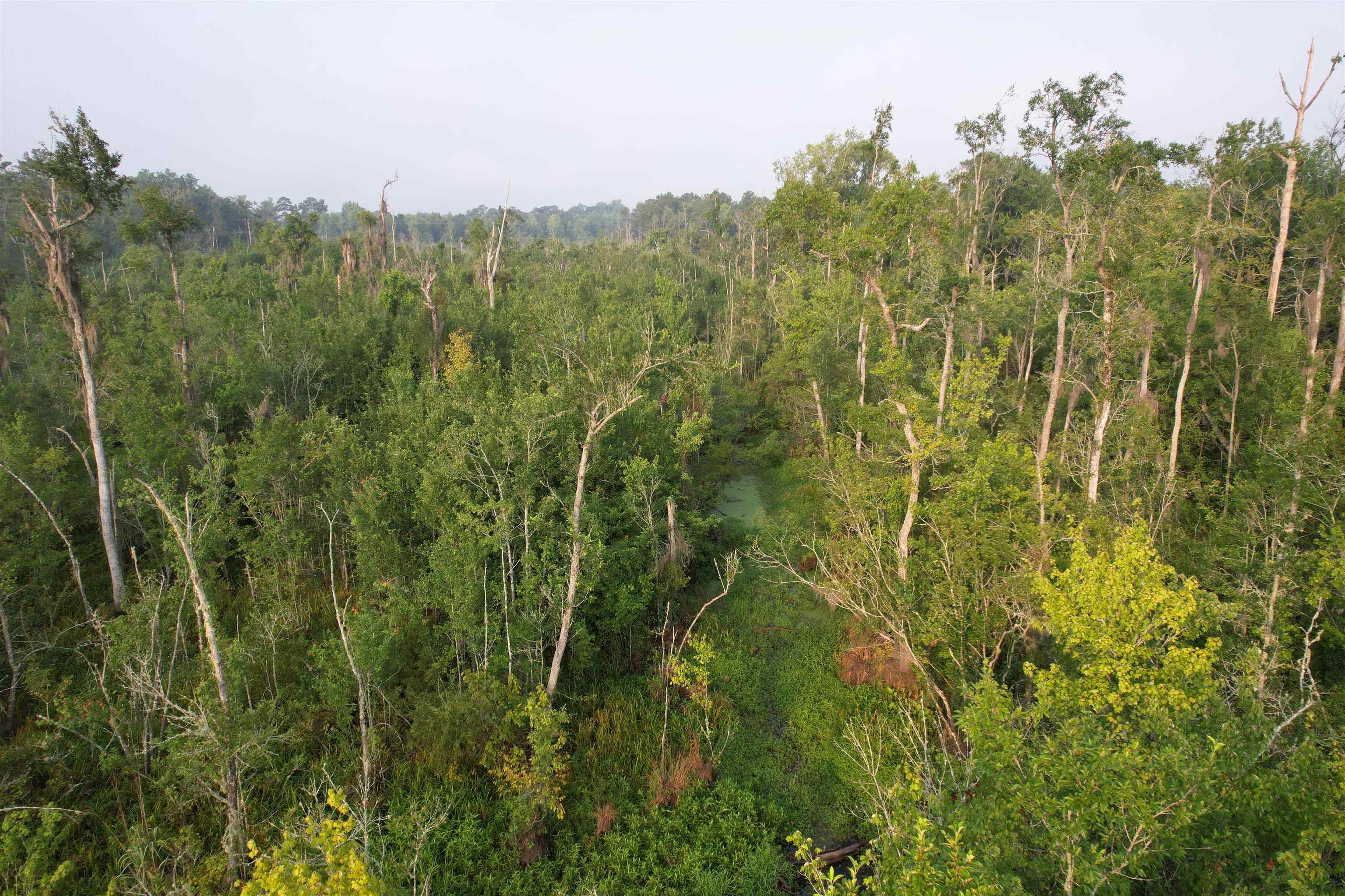 9.58 Acres - S Deerfield Rd. Property Photo 9