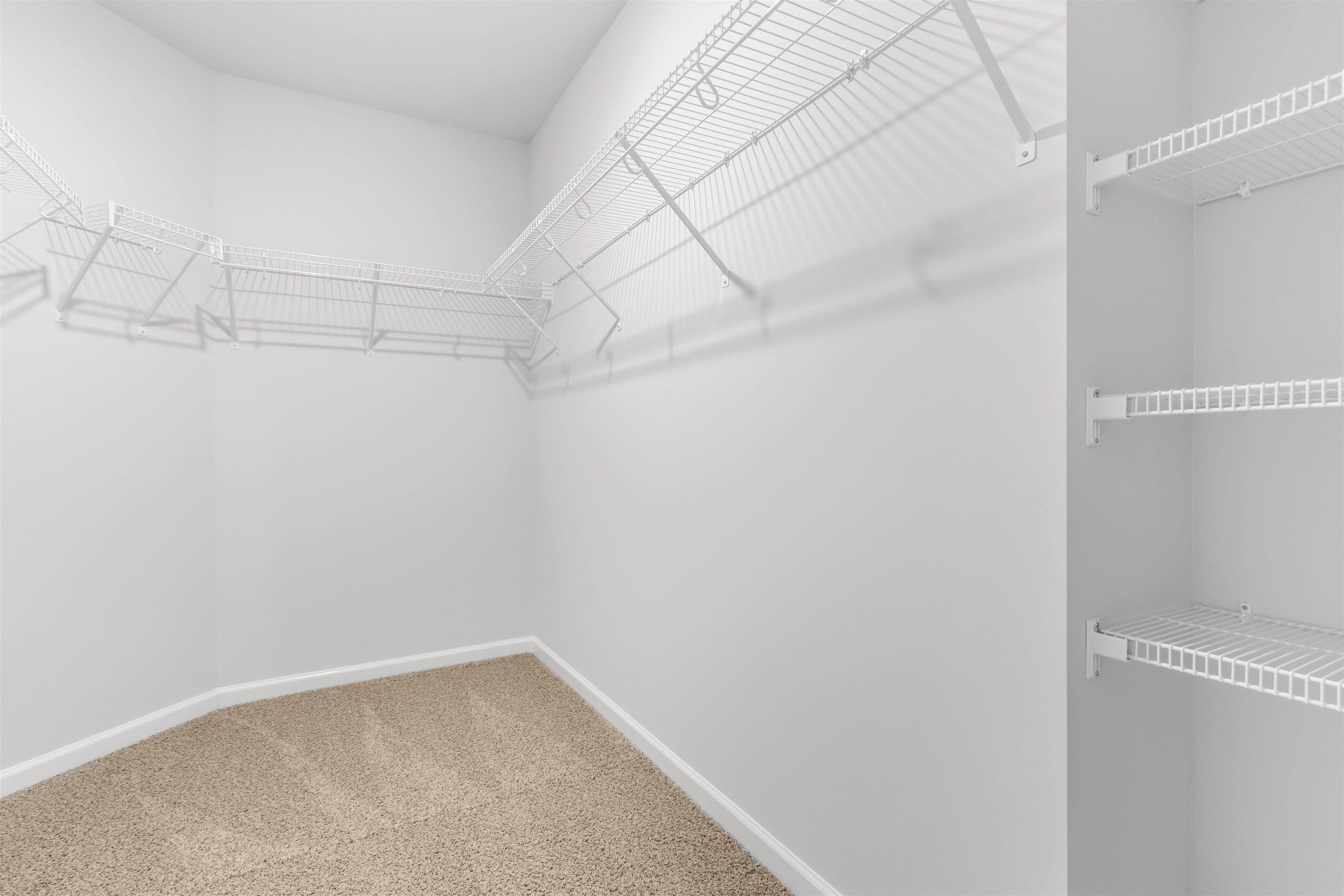 1107 Cherrystone Loop Property Photo 22