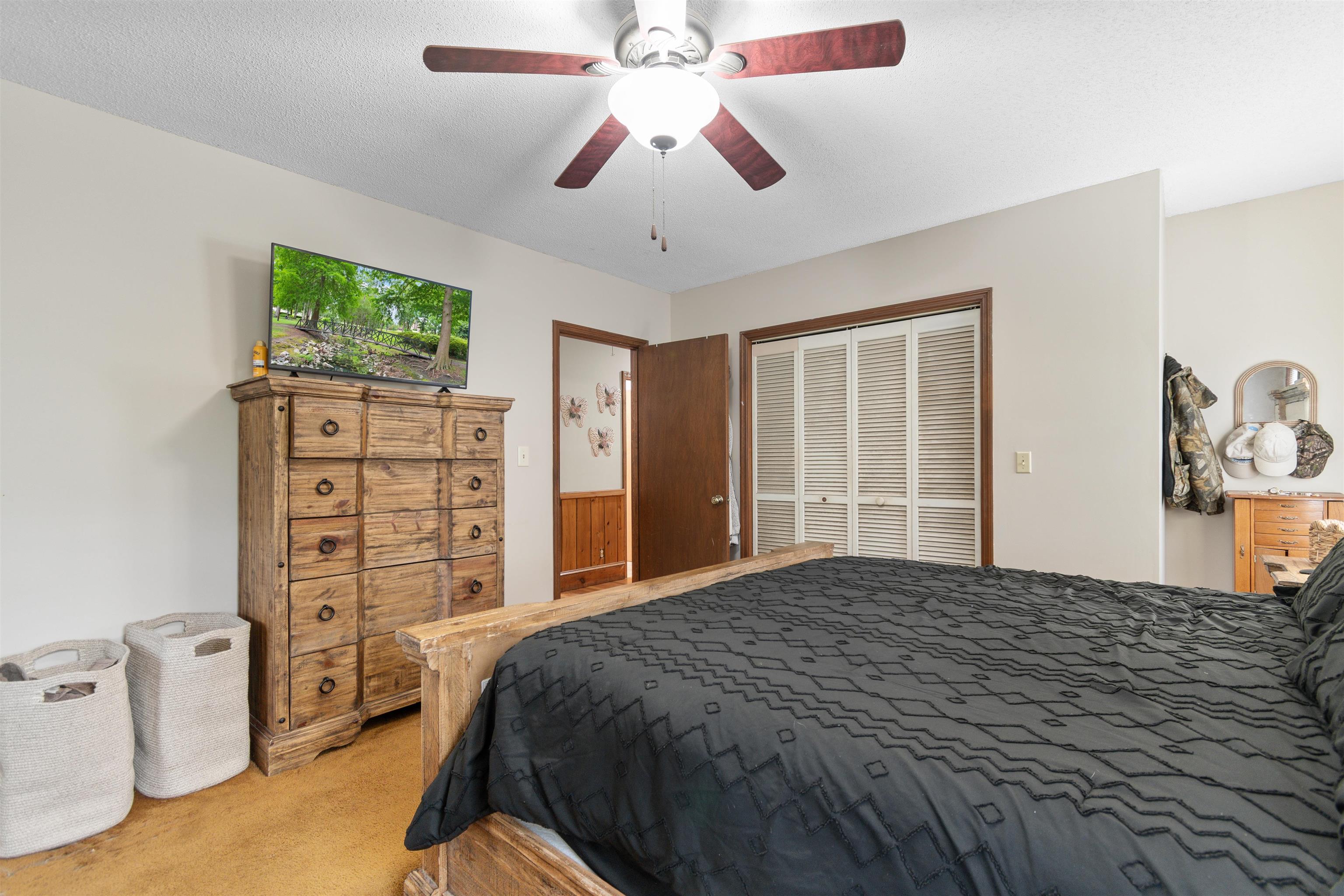 57 Missroon St. Property Photo 21