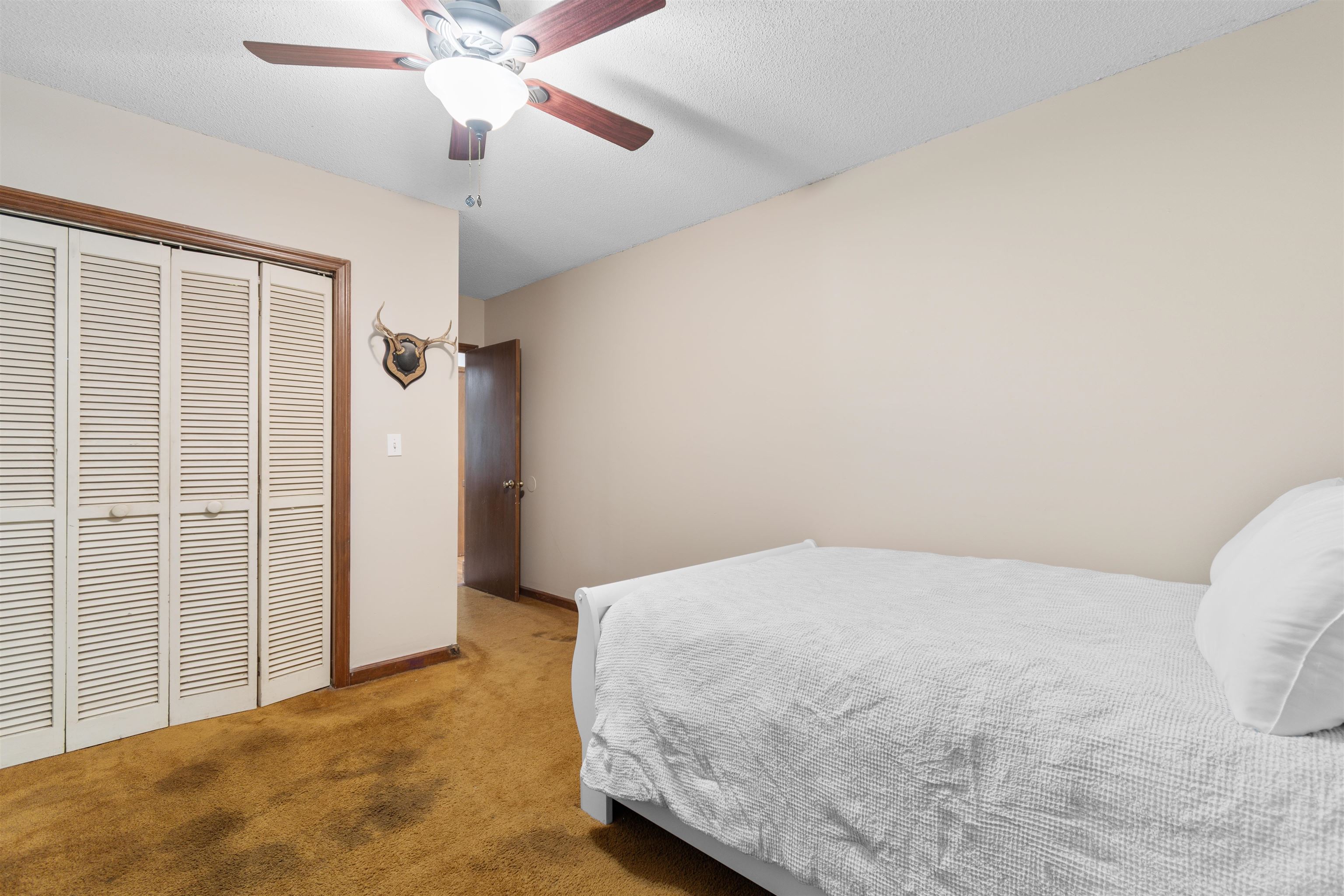 57 Missroon St. Property Photo 27