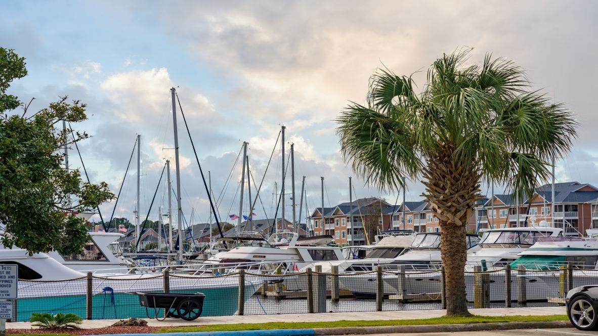 209 Evington Dr Property Photo 31