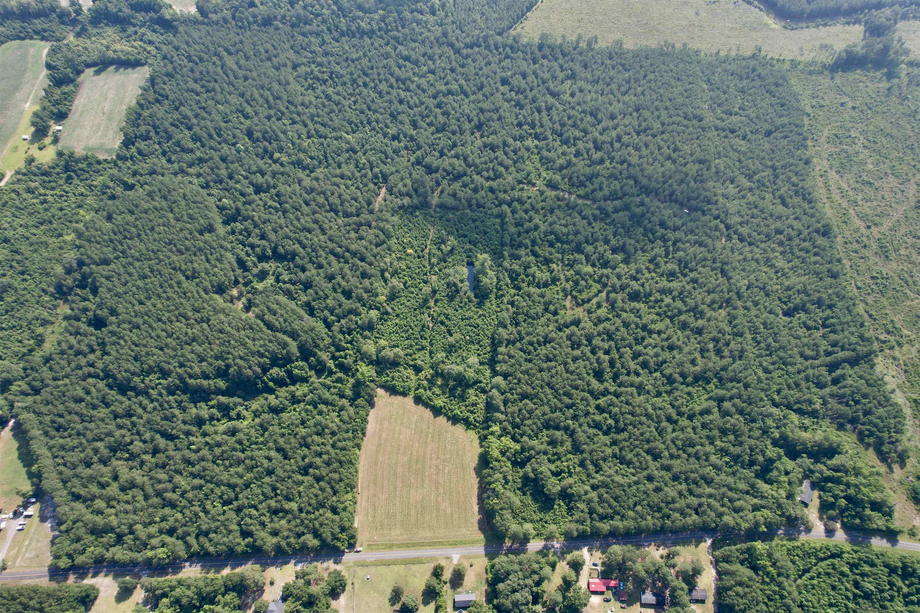 50.5 Acres Epps Rd. Property Photo 13