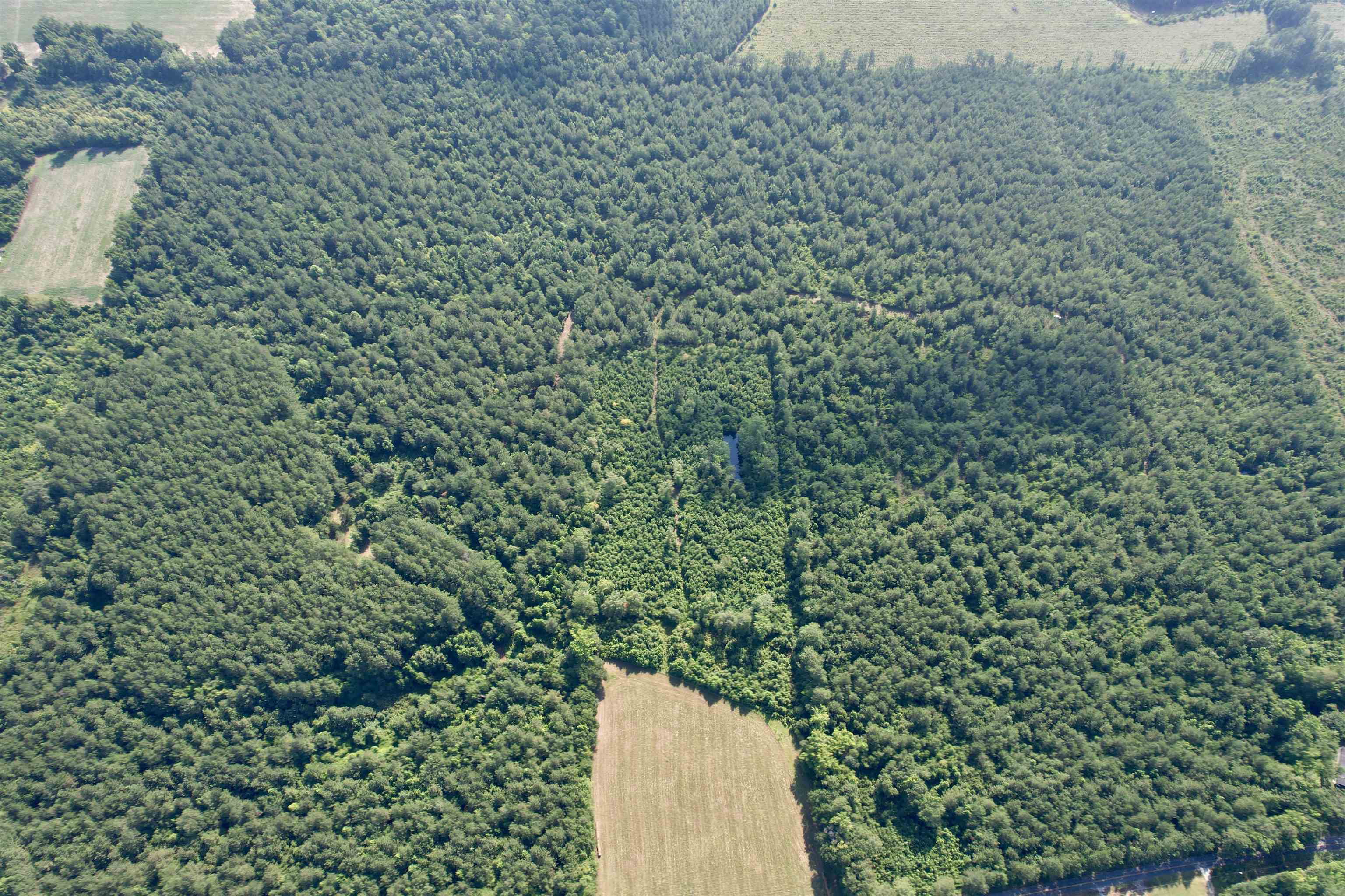 50.5 Acres Epps Rd. Property Photo 14