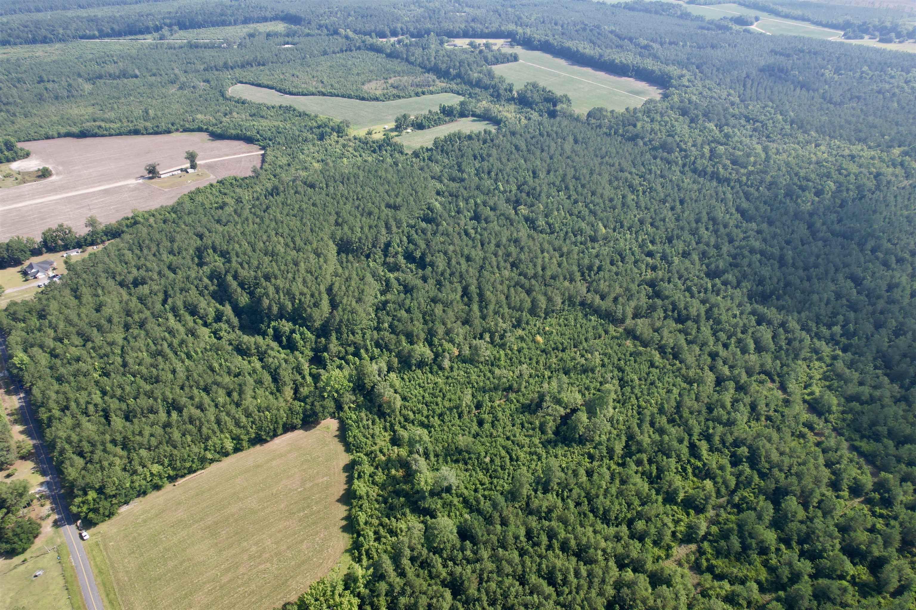 50.5 Acres Epps Rd. Property Photo 15