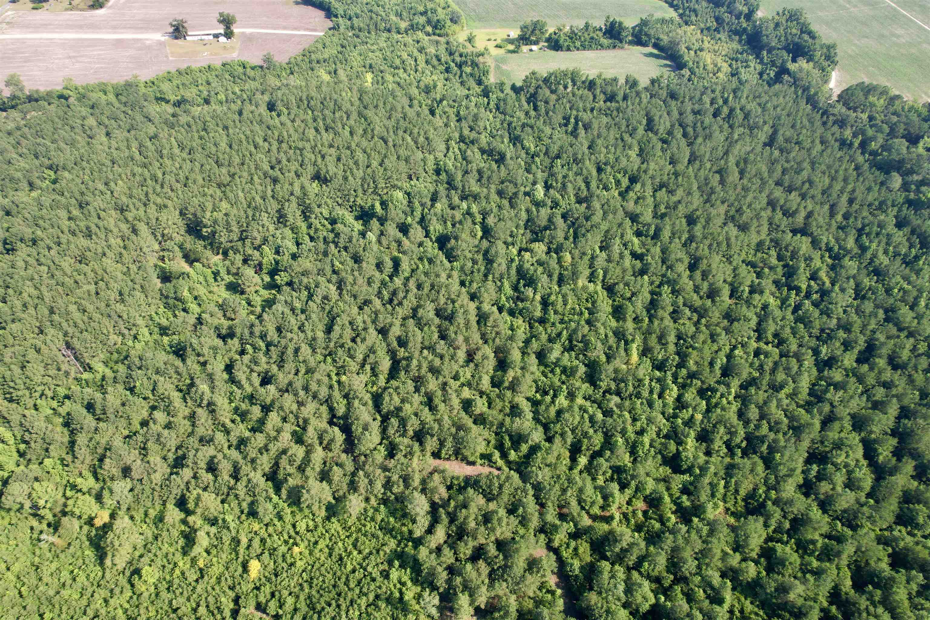 50.5 Acres Epps Rd. Property Photo 16
