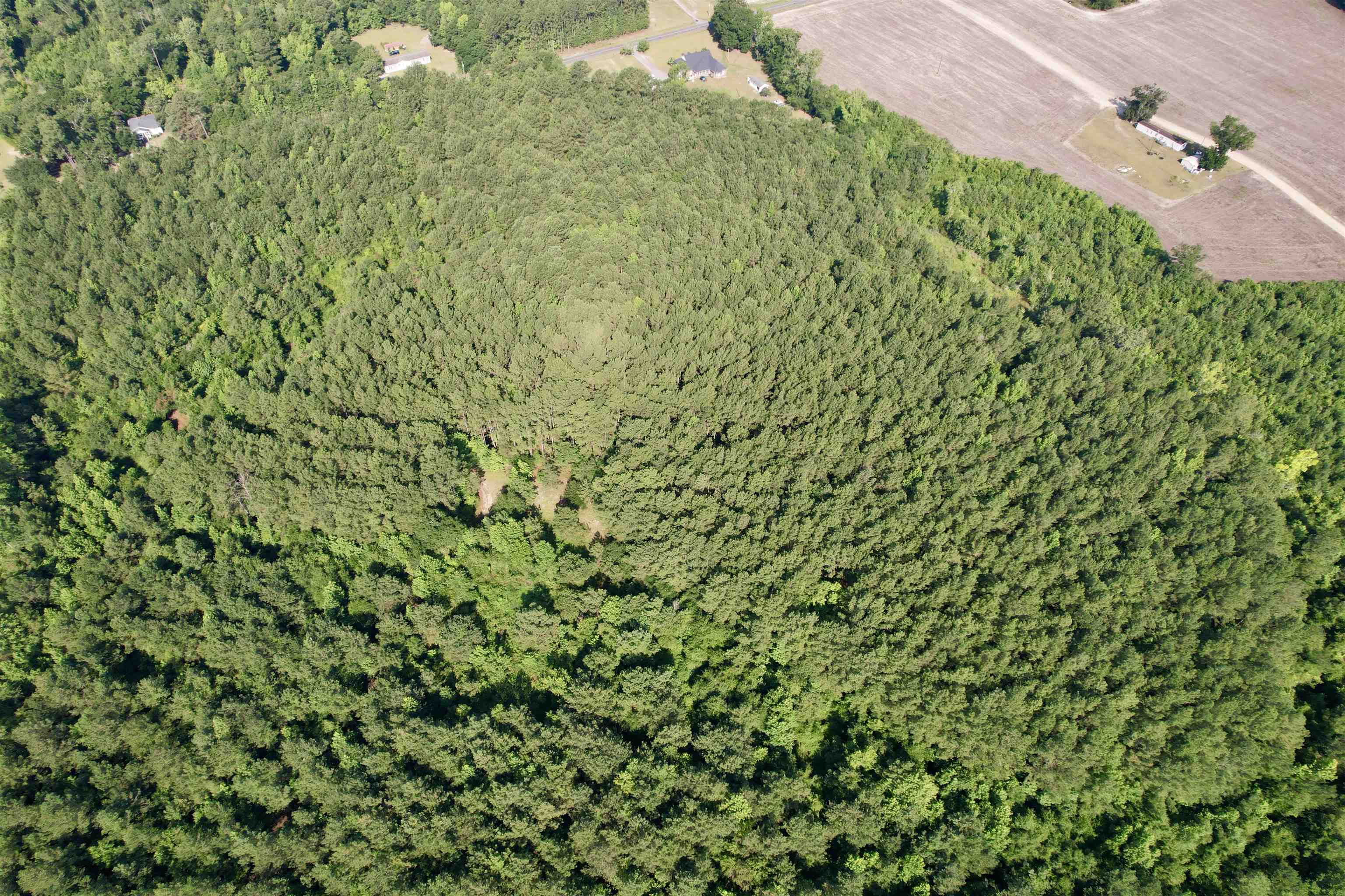 50.5 Acres Epps Rd. Property Photo 17