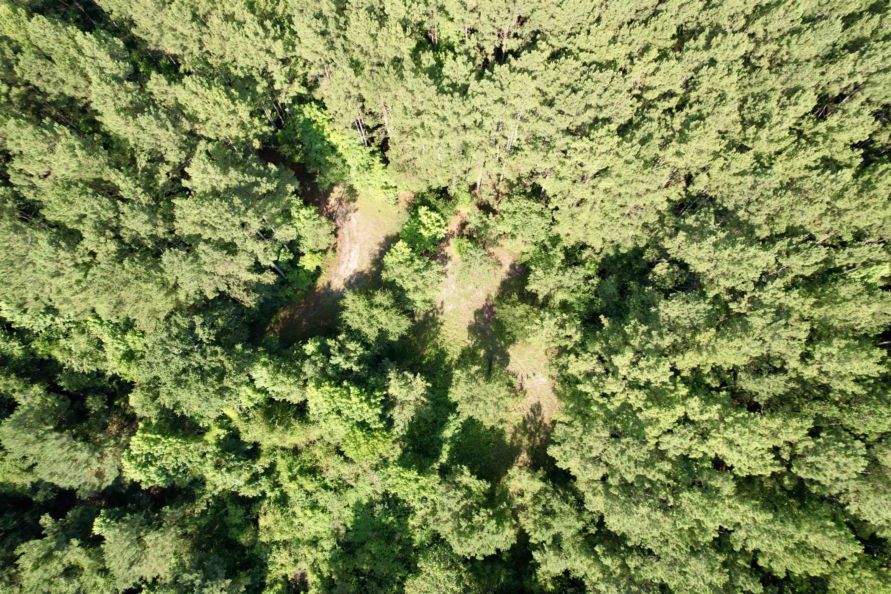50.5 Acres Epps Rd. Property Photo 18