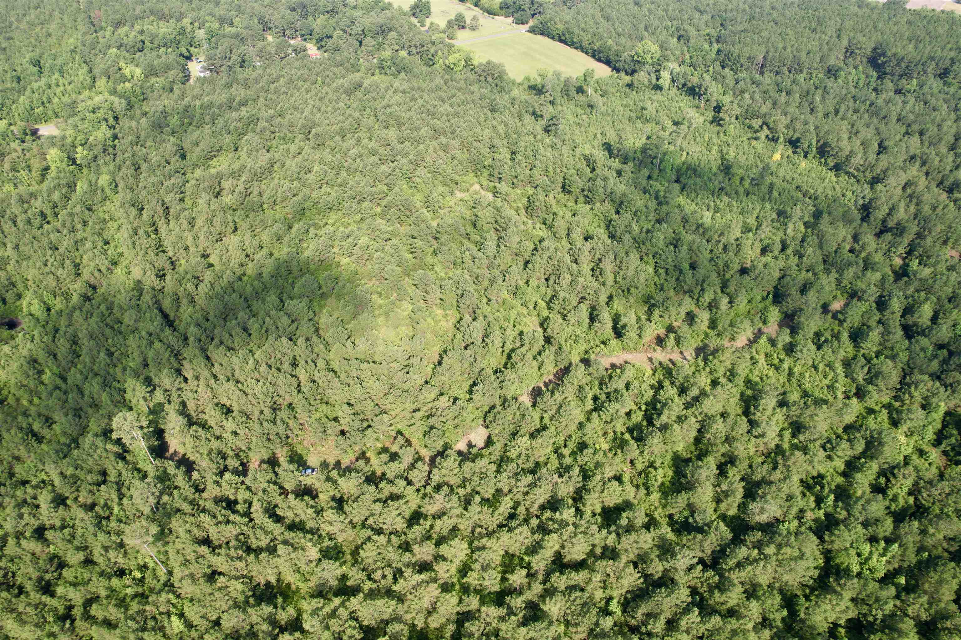 50.5 Acres Epps Rd. Property Photo 20