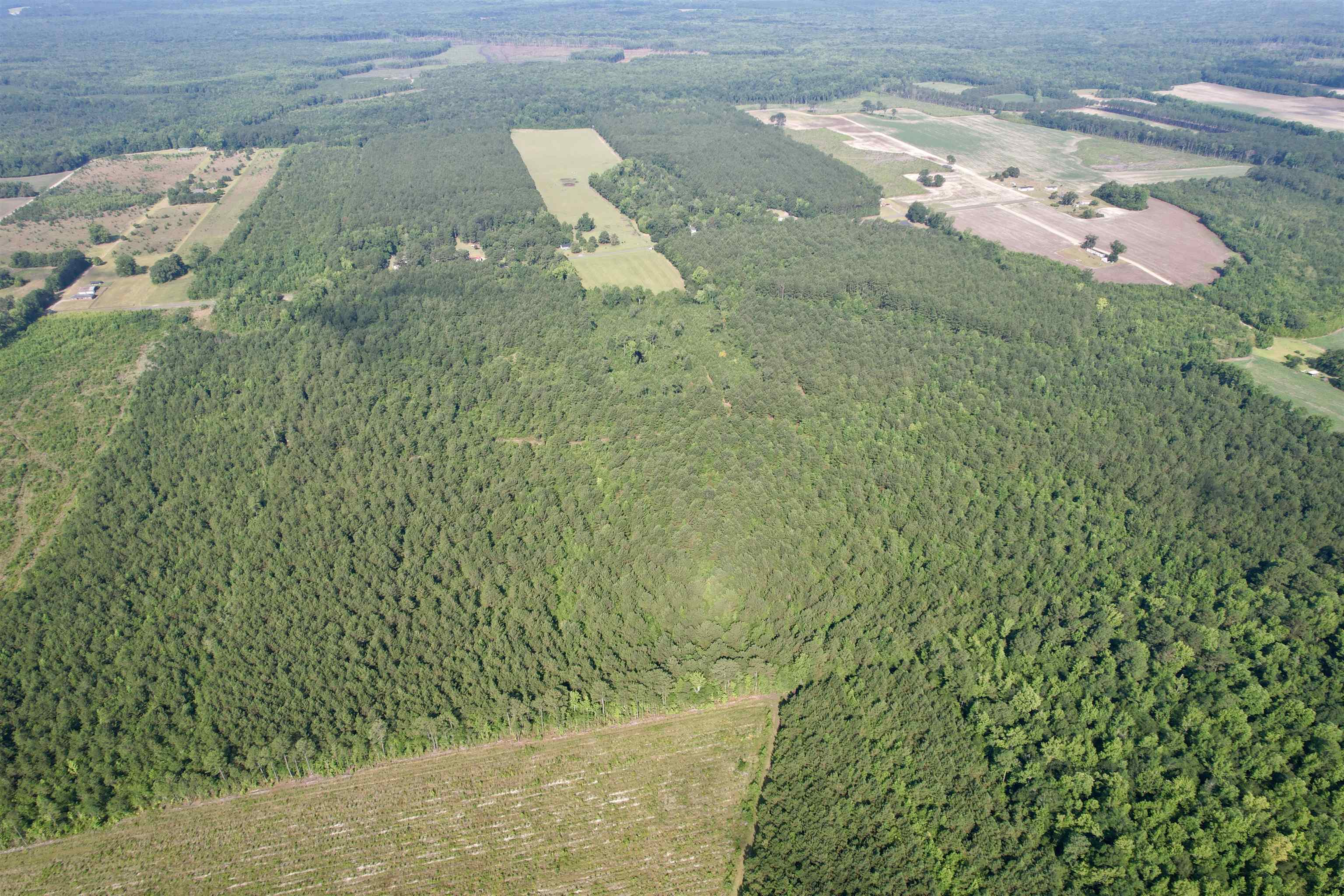50.5 Acres Epps Rd. Property Photo 21