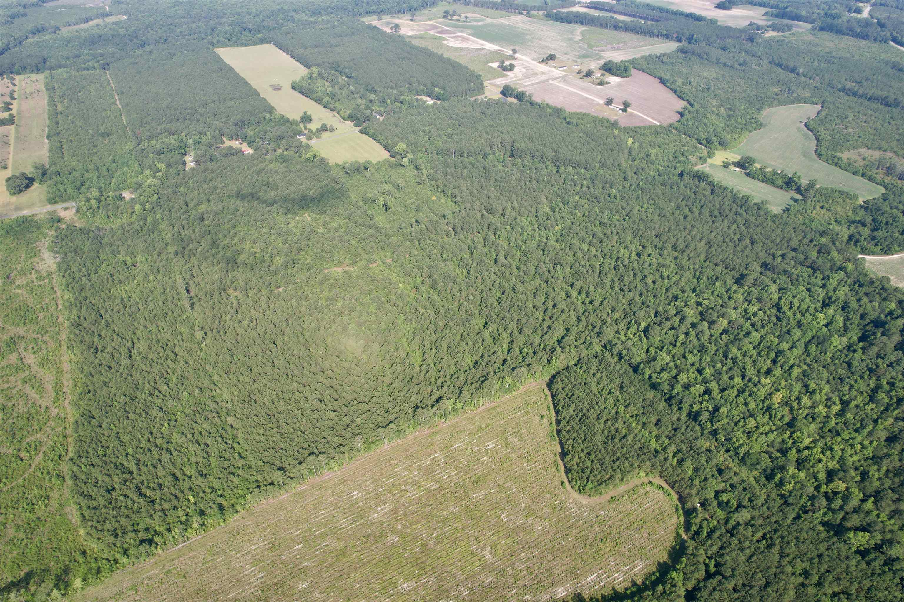 50.5 Acres Epps Rd. Property Photo 22