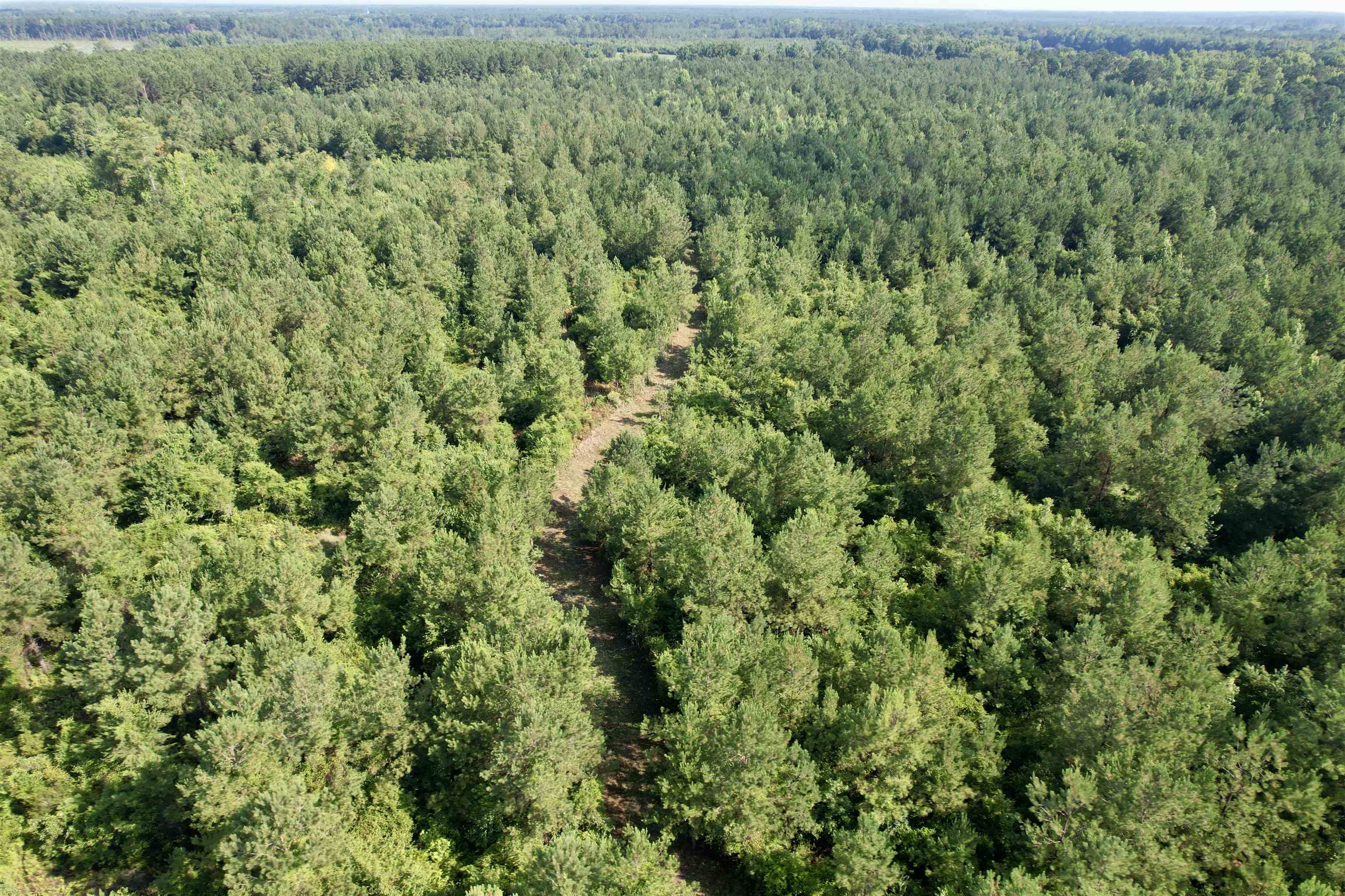 50.5 Acres Epps Rd. Property Photo 23