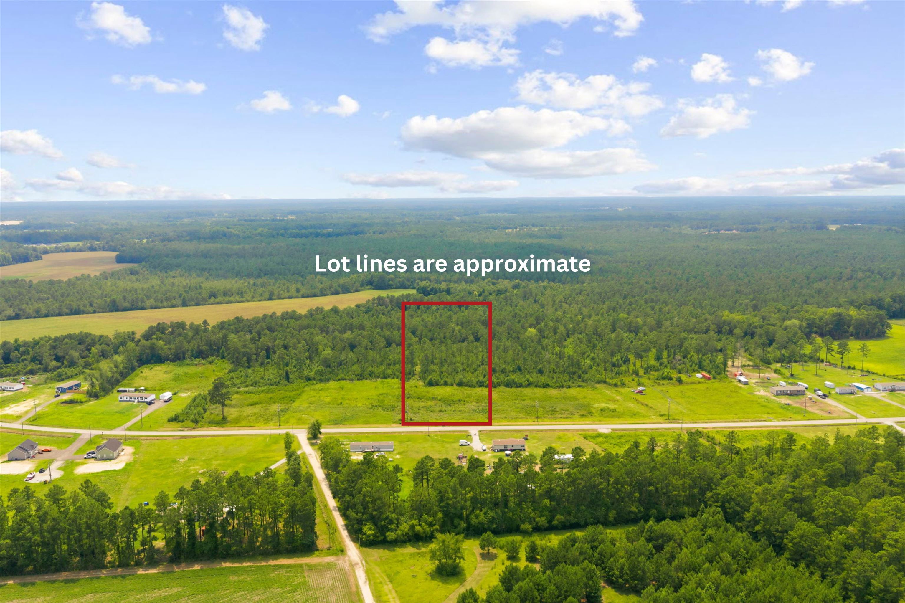 Tbd W Highway 19 Property Photo 10