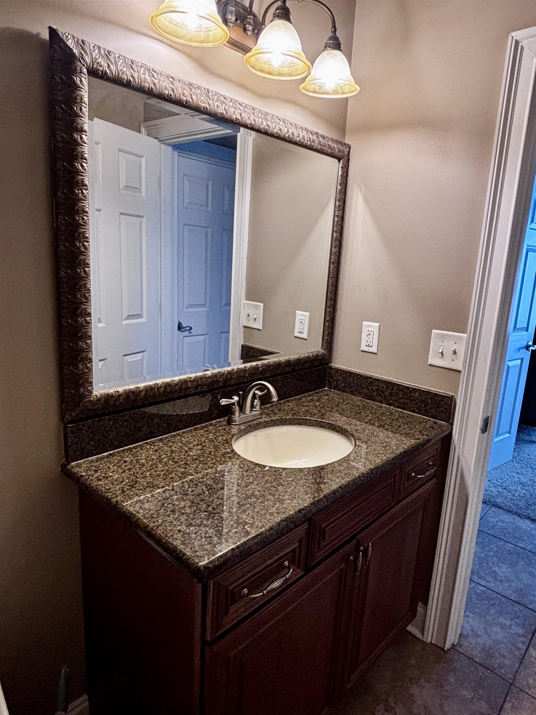 309 Bunny Trail Ct. Property Photo 29