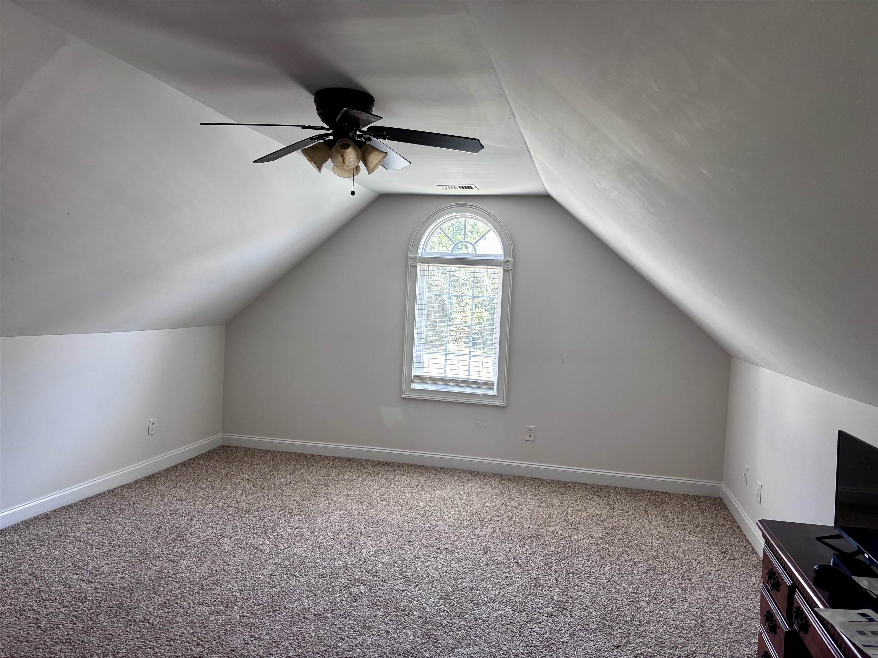 309 Bunny Trail Ct. Property Photo 35