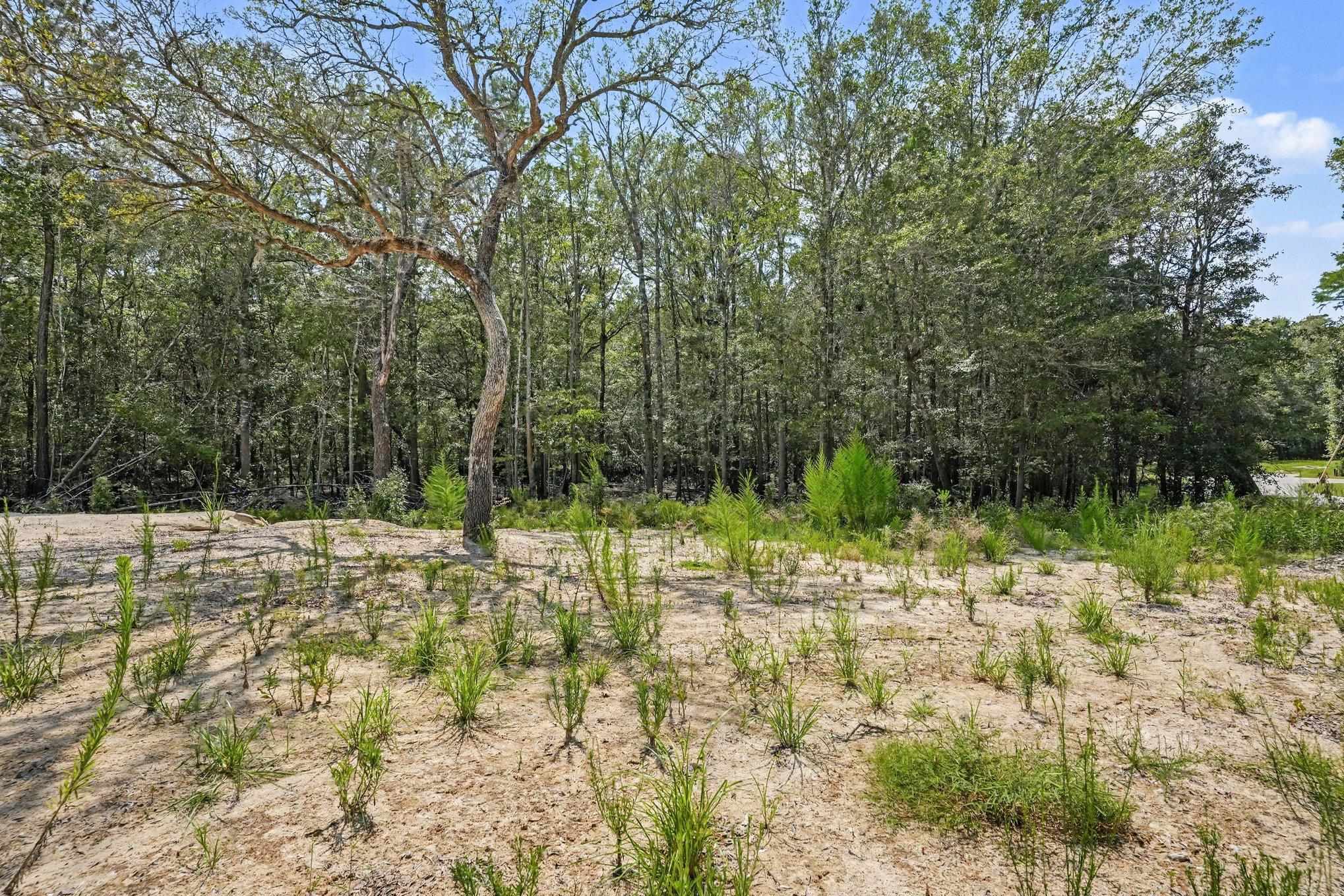 120 Waccamaw River Rd. Property Photo 2