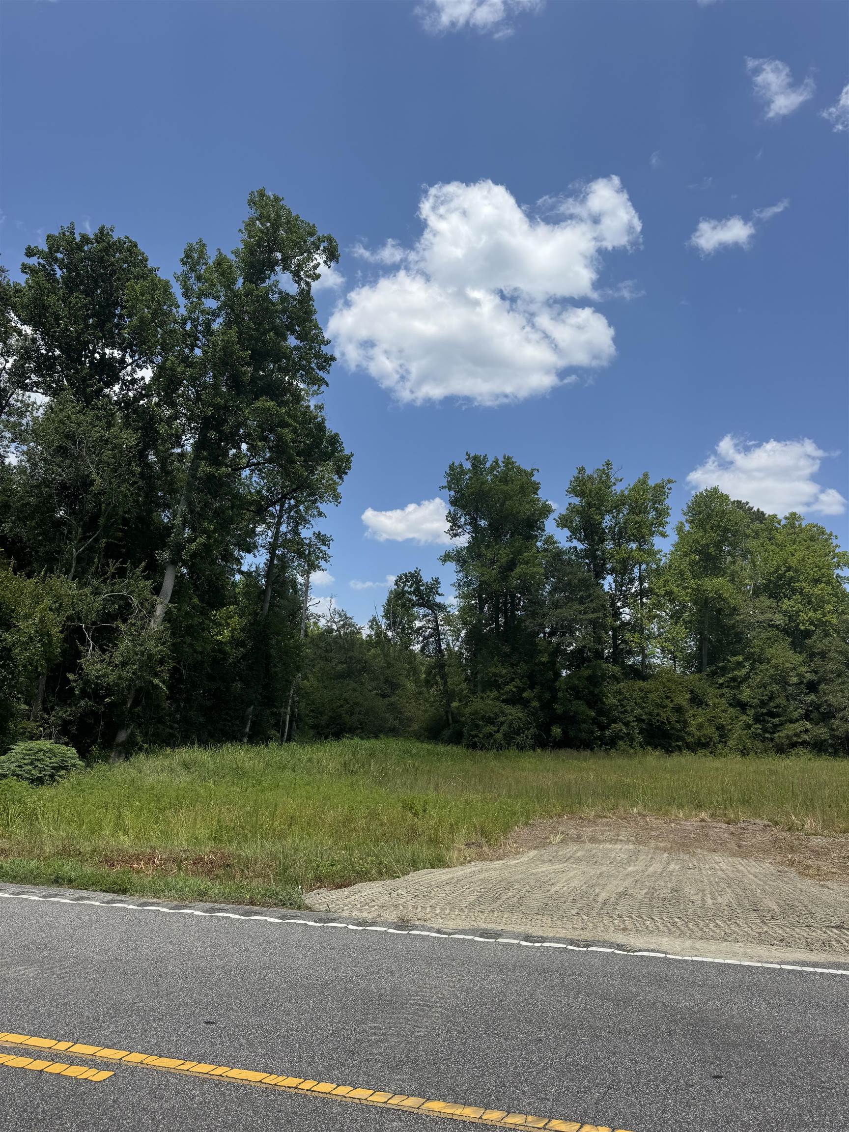 10056 W Highway 19 Property Photo 3
