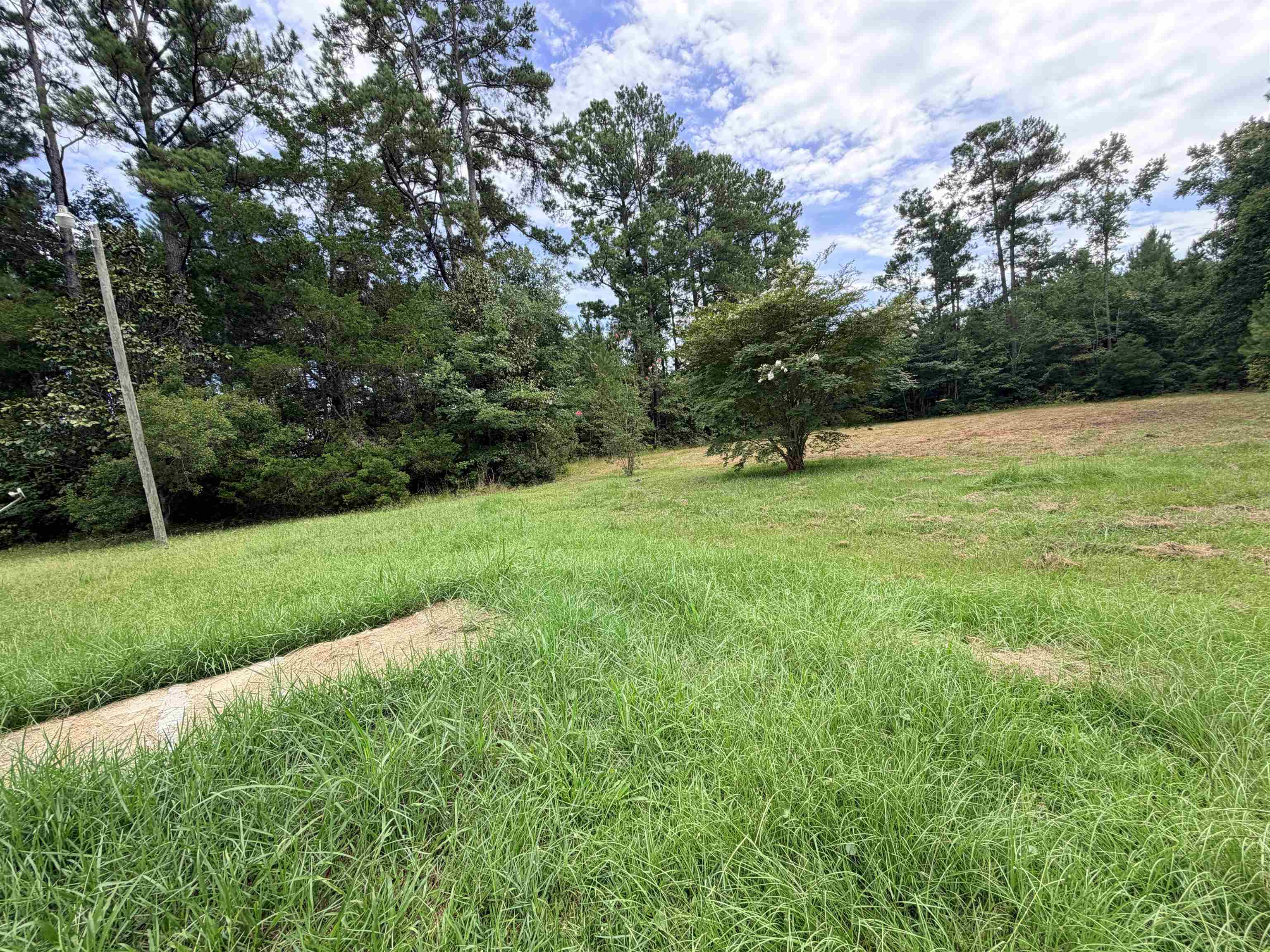 1181 Dirty Branch Rd. Property Photo 19
