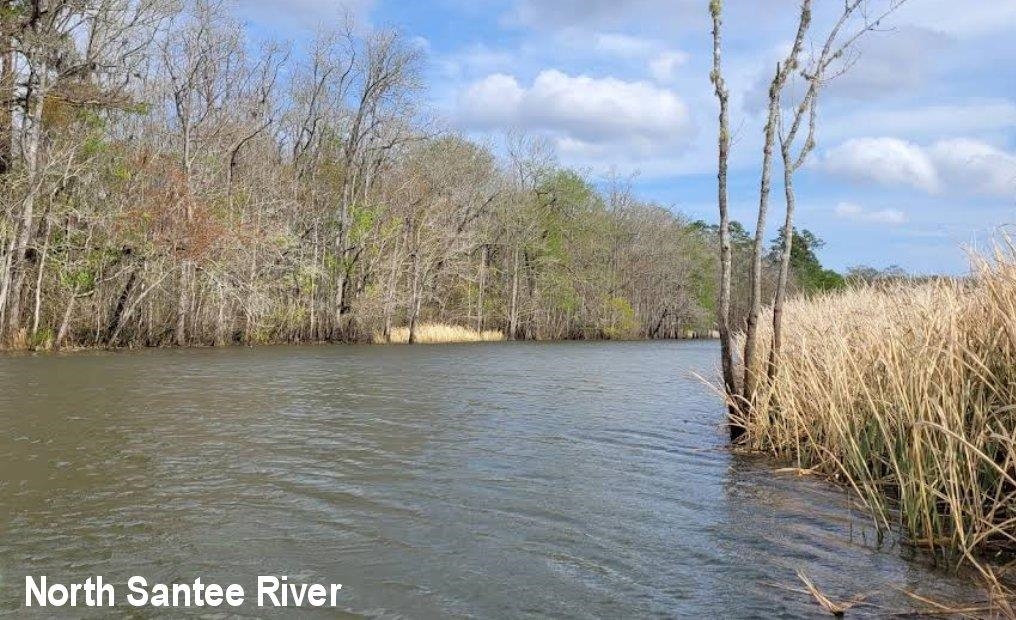 659 Harris Landing Rd. Property Photo 42