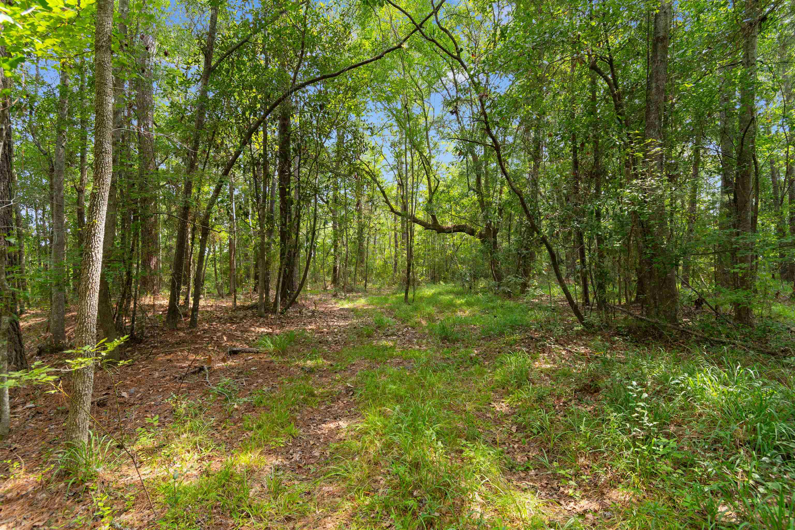 6518 N Fraser St. Property Photo 5