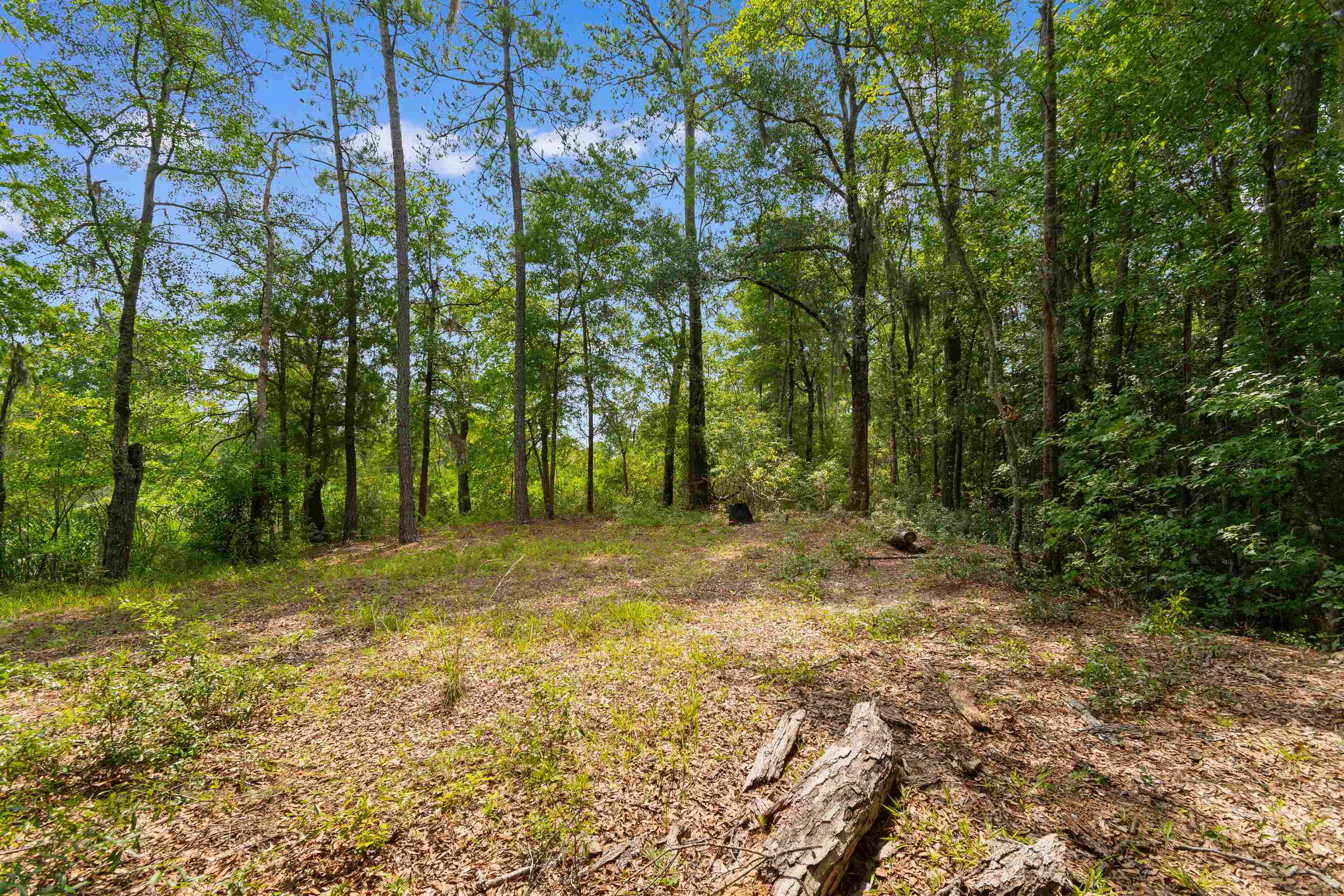6518 N Fraser St. Property Photo 6
