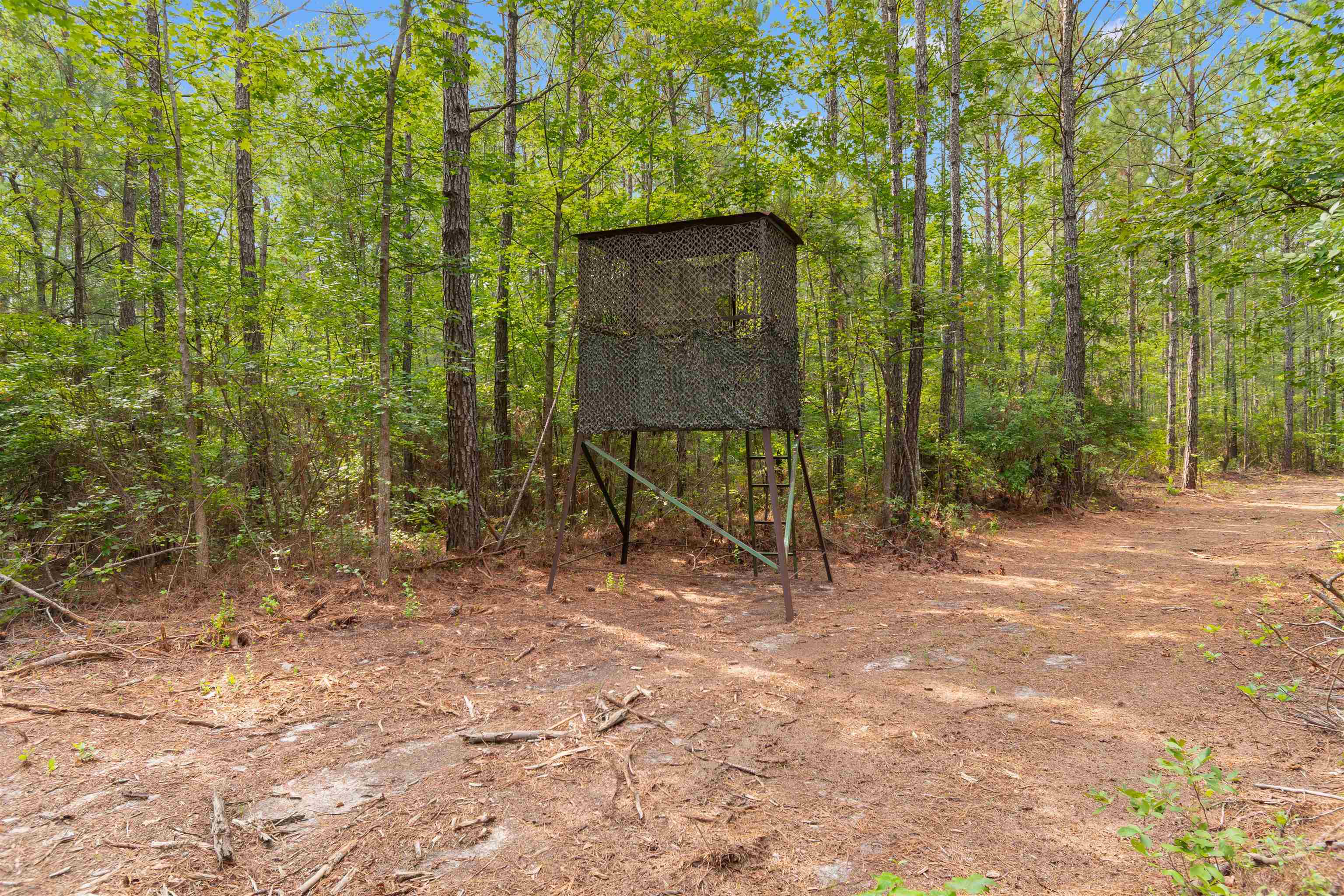 155.81 Acres - Roper Woods Rd. Property Photo 1