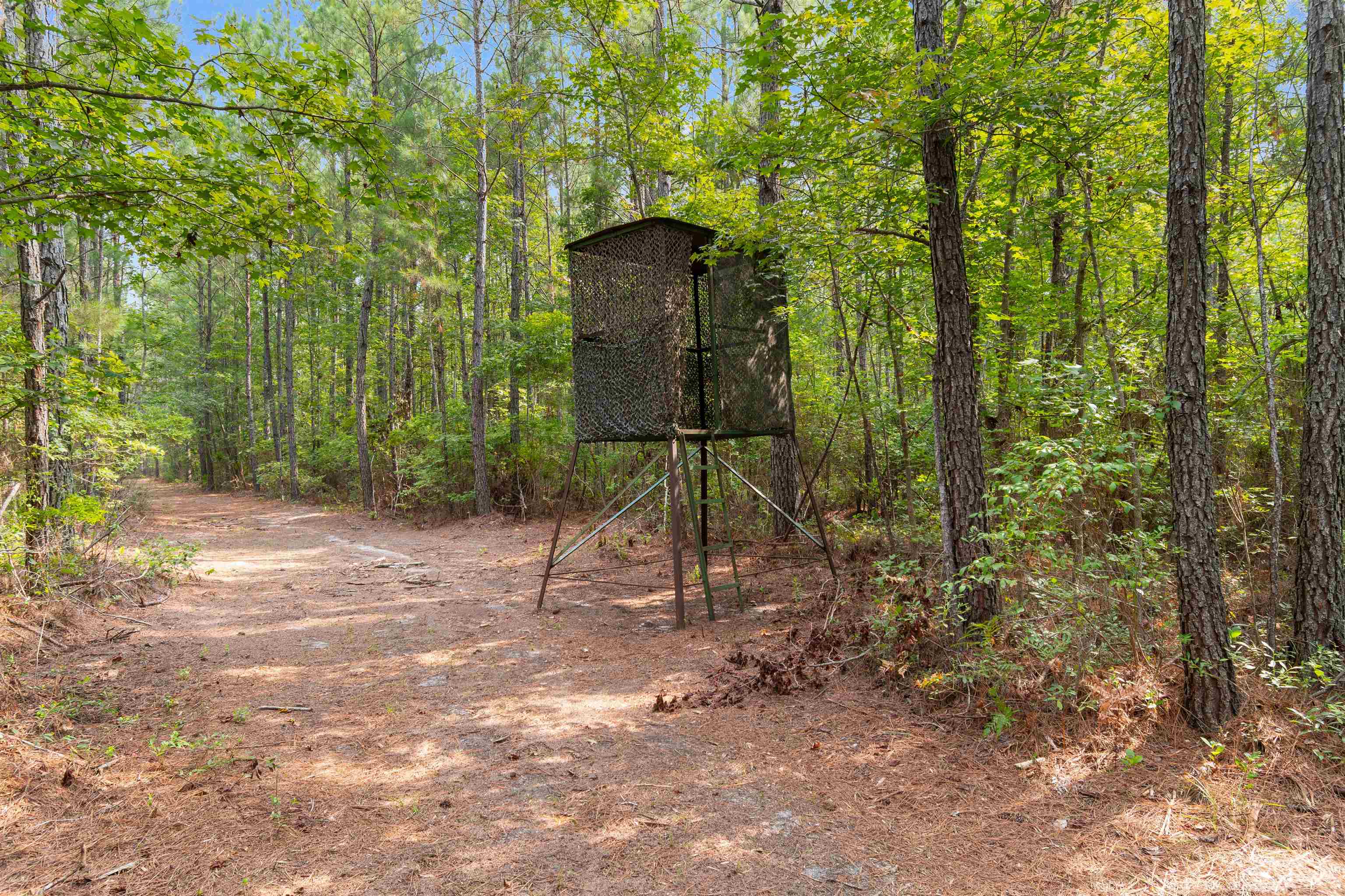 155.81 Acres - Roper Woods Rd. Property Photo 1
