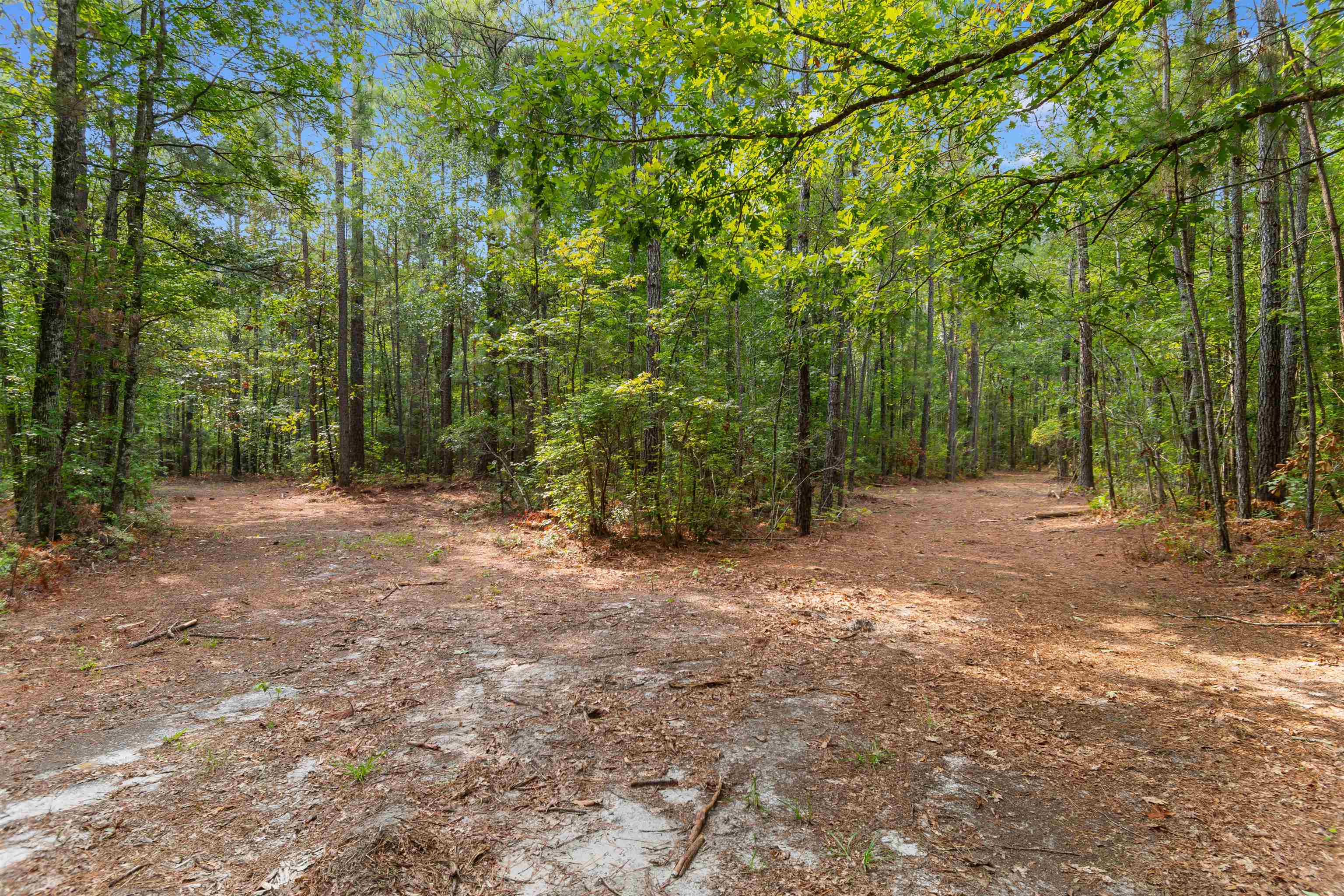 155.81 Acres - Roper Woods Rd. Property Photo 9