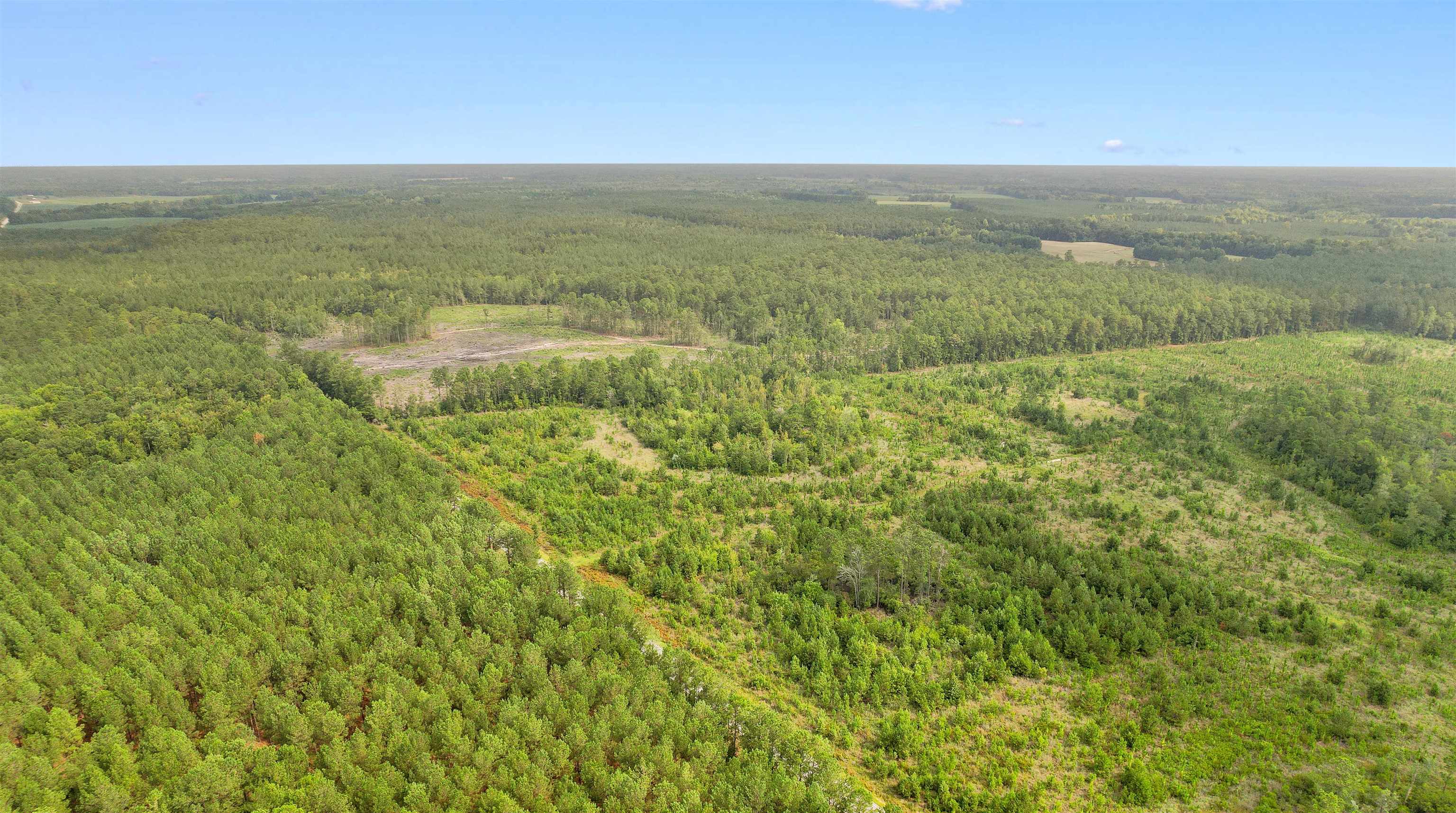 155.81 Acres - Roper Woods Rd. Property Photo 15