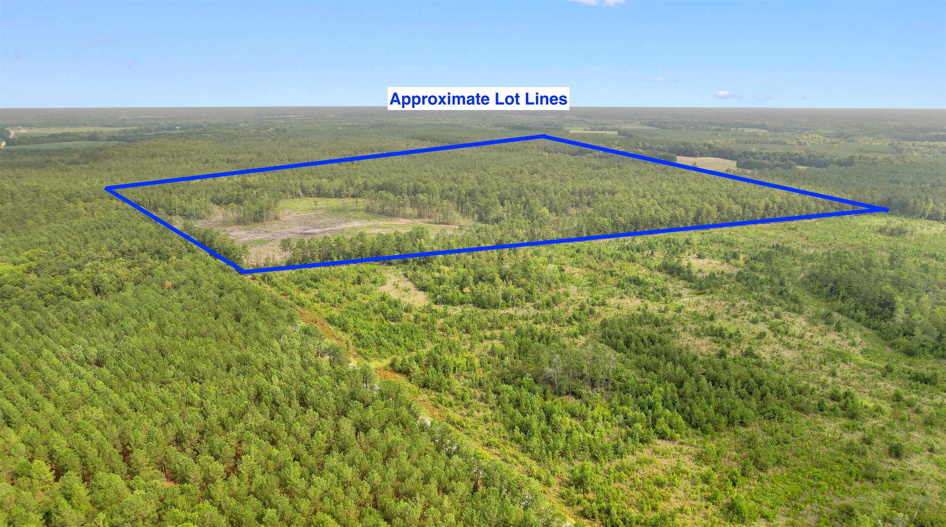 155.81 Acres - Roper Woods Rd. Property Photo 16
