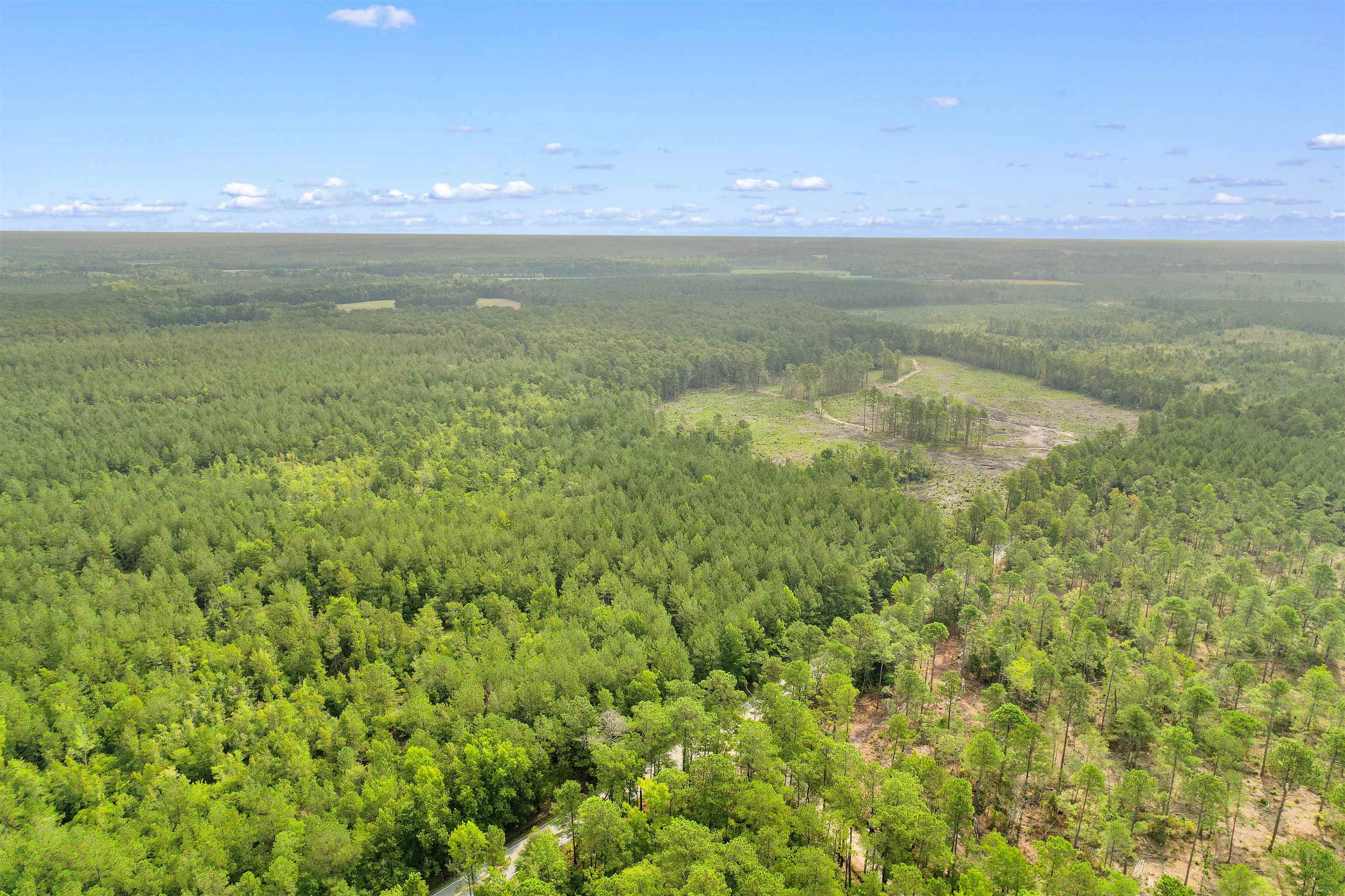 155.81 Acres - Roper Woods Rd. Property Photo 17