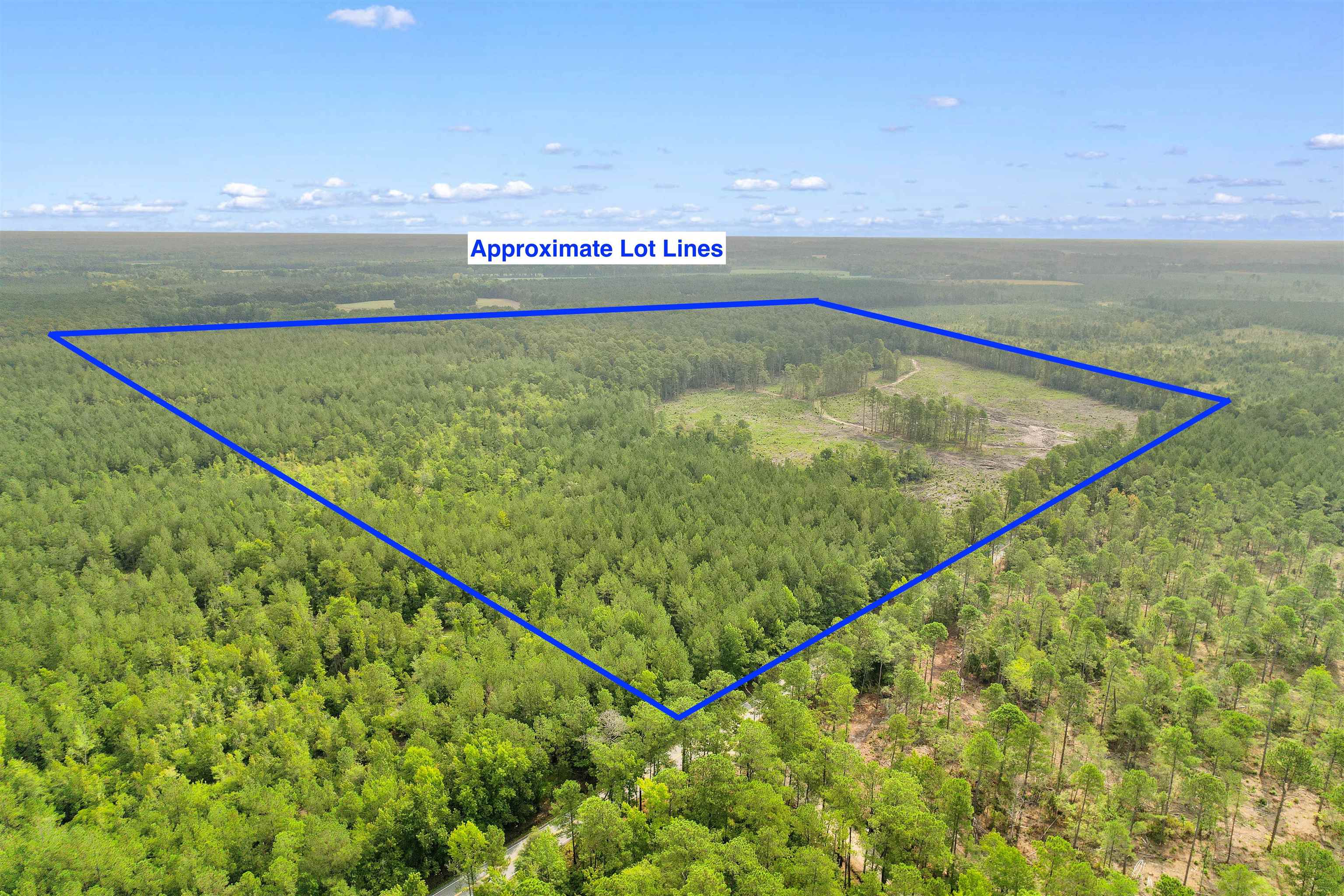 155.81 Acres - Roper Woods Rd. Property Photo 18