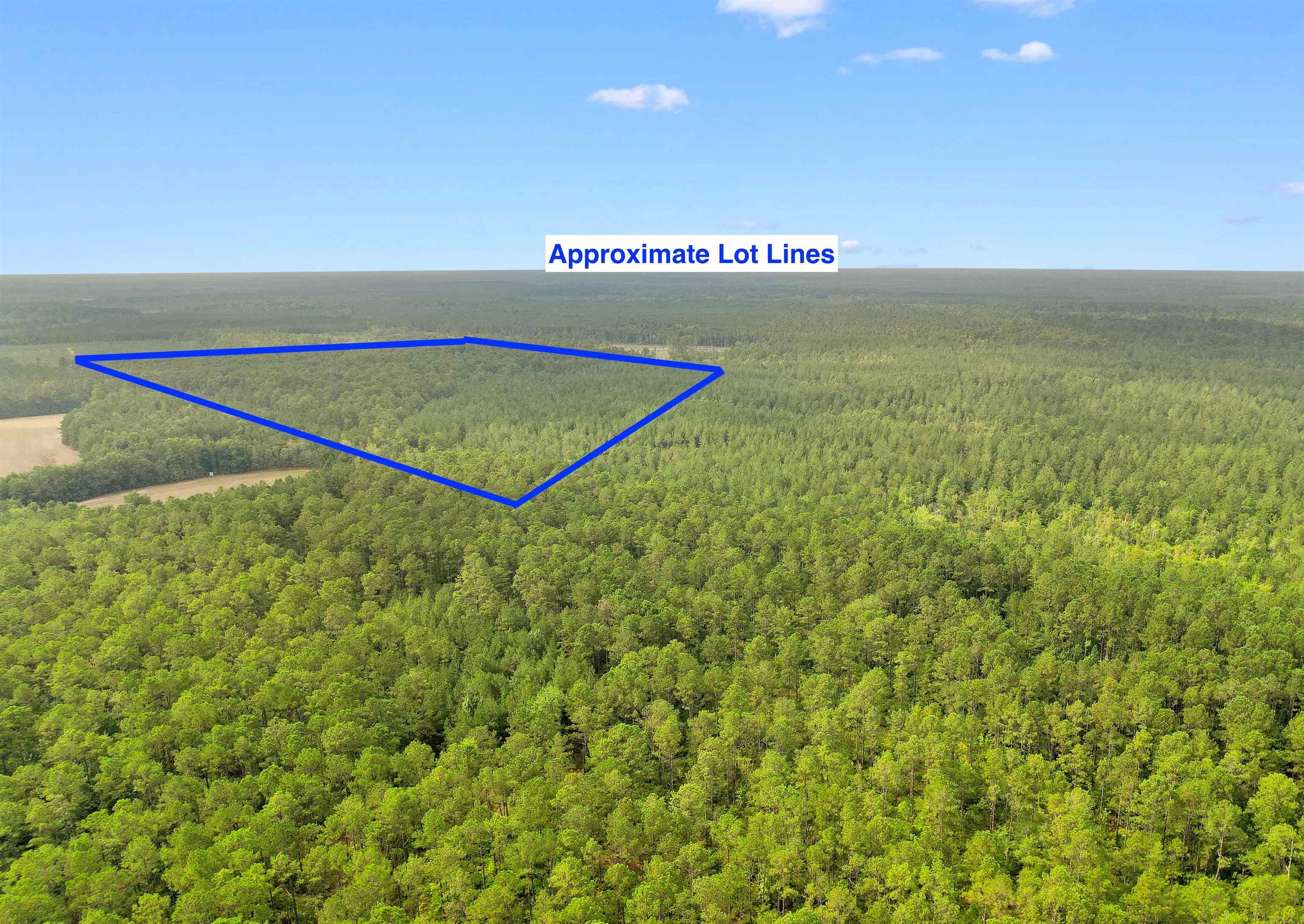 155.81 Acres - Roper Woods Rd. Property Photo 20