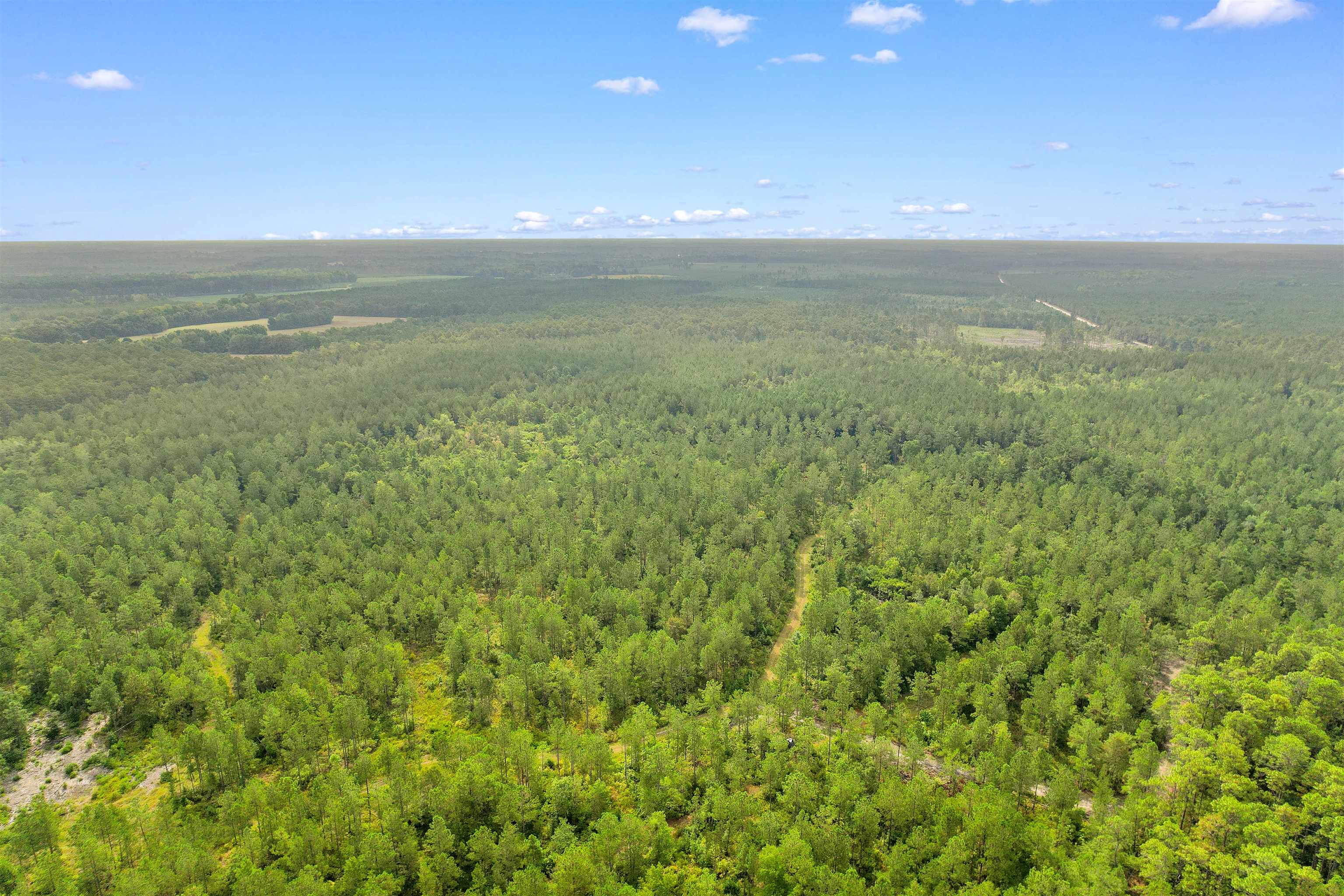 155.81 Acres - Roper Woods Rd. Property Photo 21