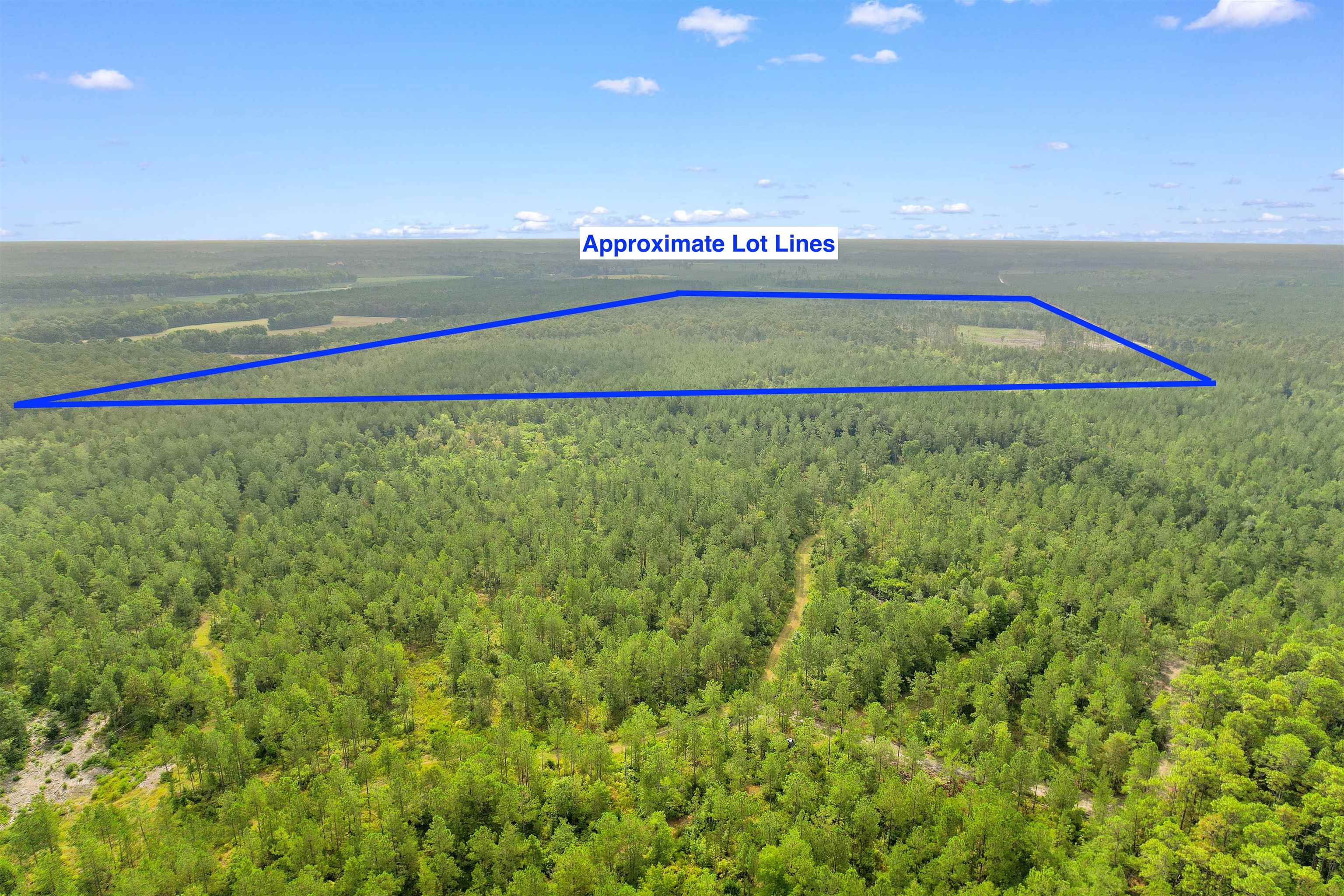 155.81 Acres - Roper Woods Rd. Property Photo 22