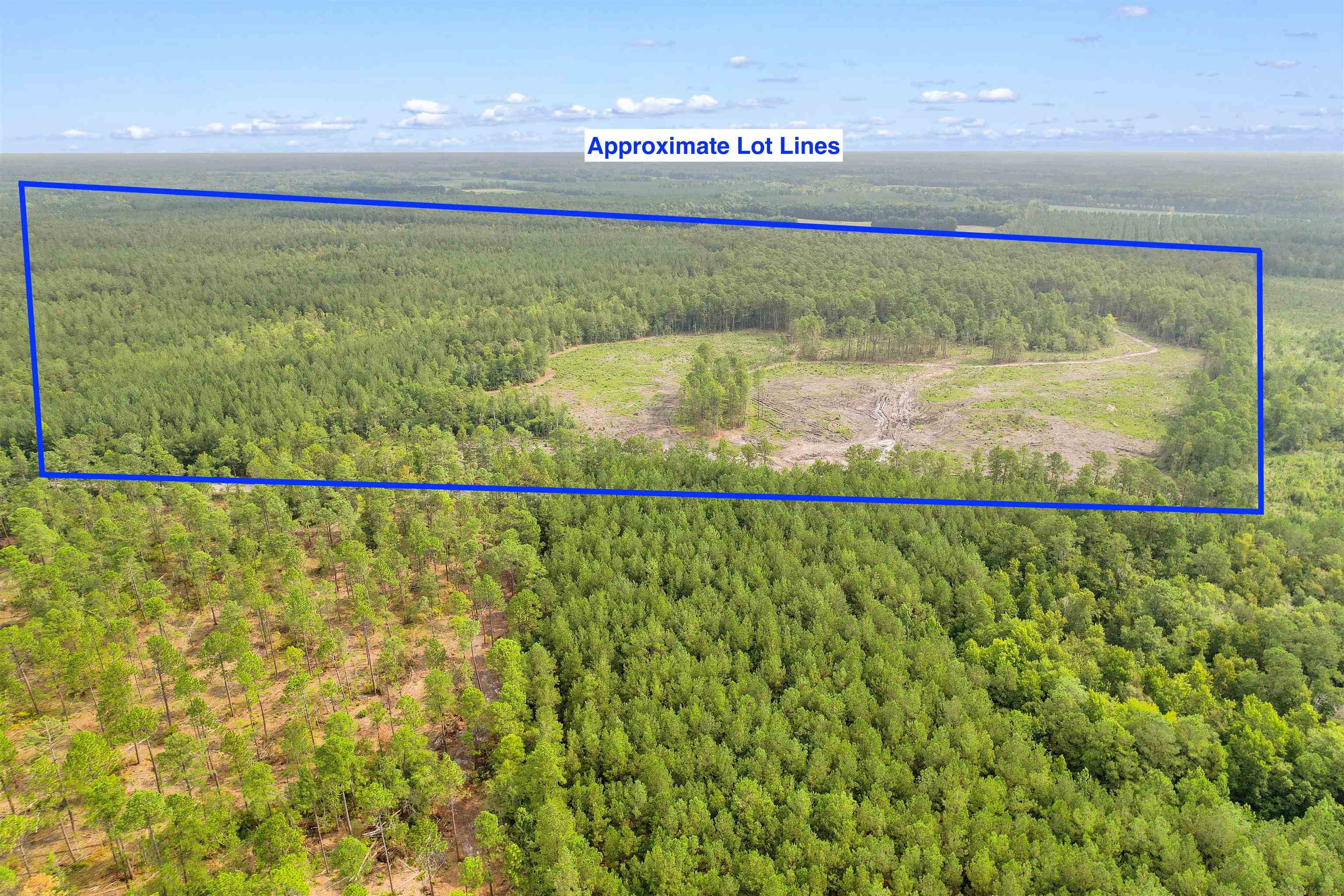 155.81 Acres - Roper Woods Rd. Property Photo 24