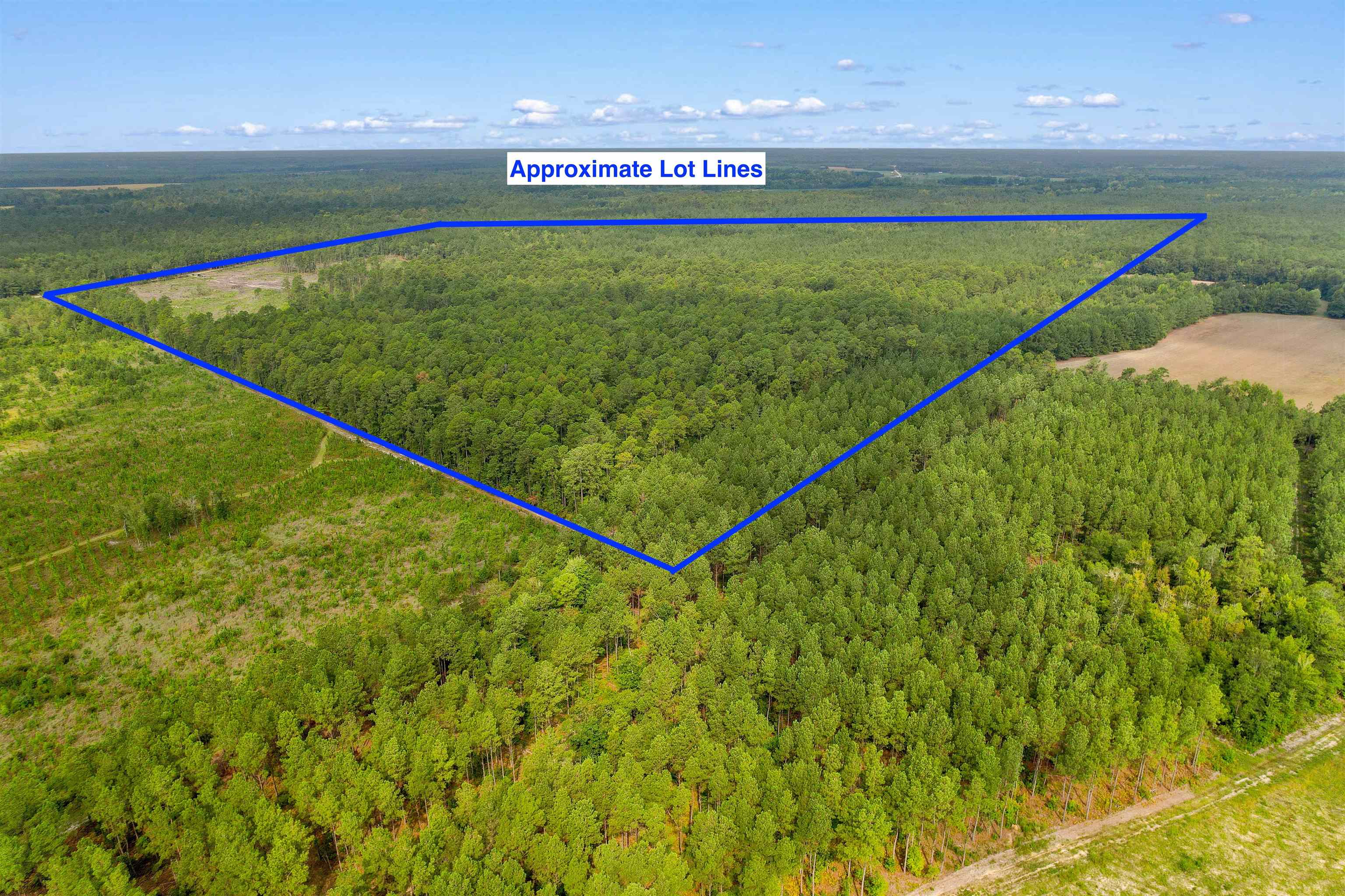 155.81 Acres - Roper Woods Rd. Property Photo 26