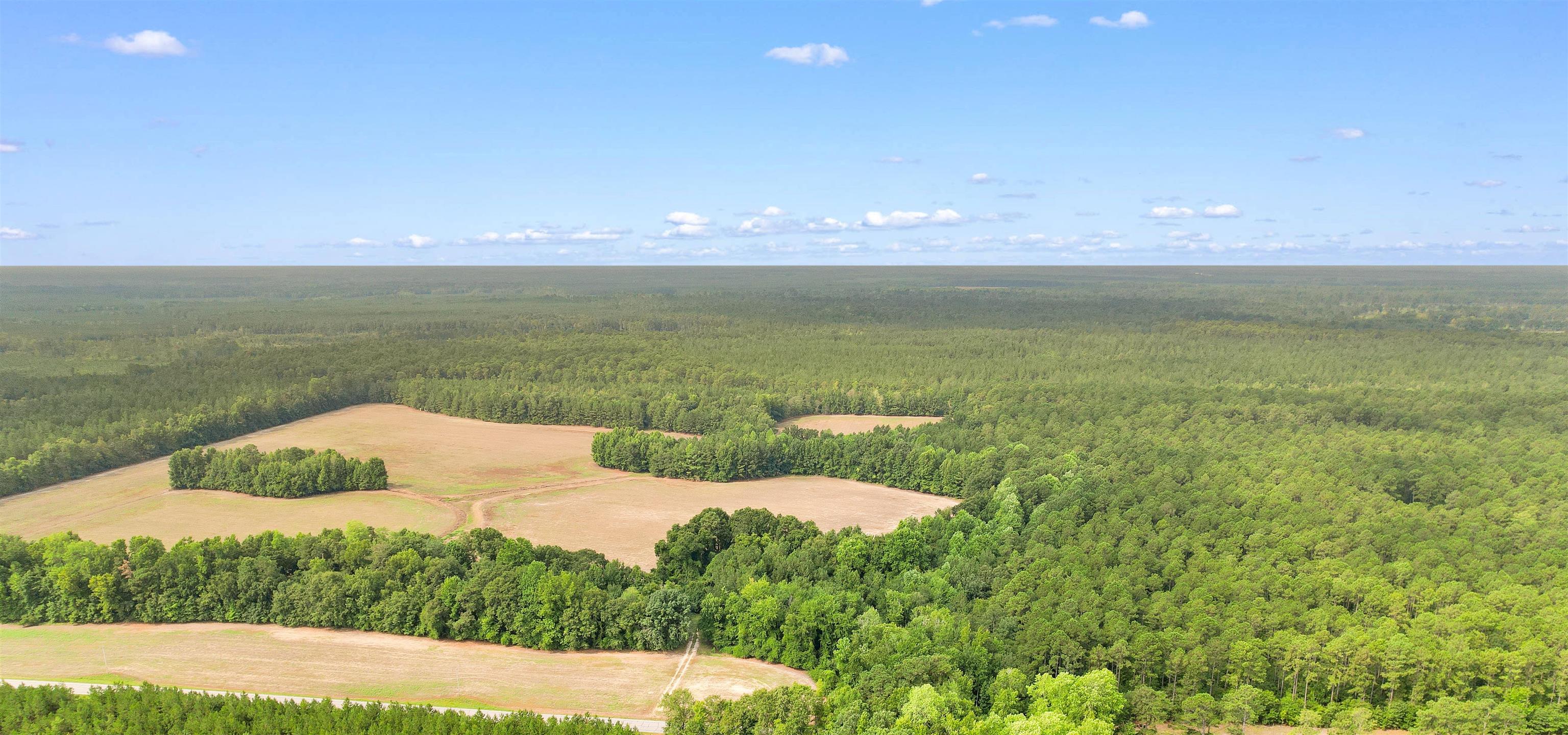 155.81 Acres - Roper Woods Rd. Property Photo 27