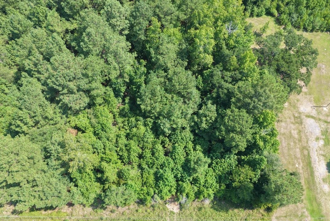 Tbd Right Hand Ct Property Photo 4