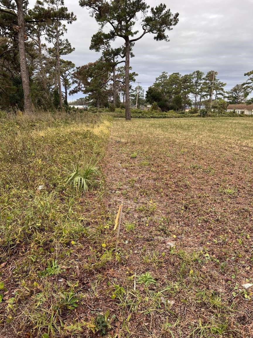 Lot 4 Alder St. Property Photo 3