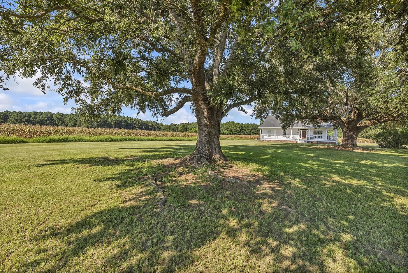 3568 Alcolu St. Property Photo 2
