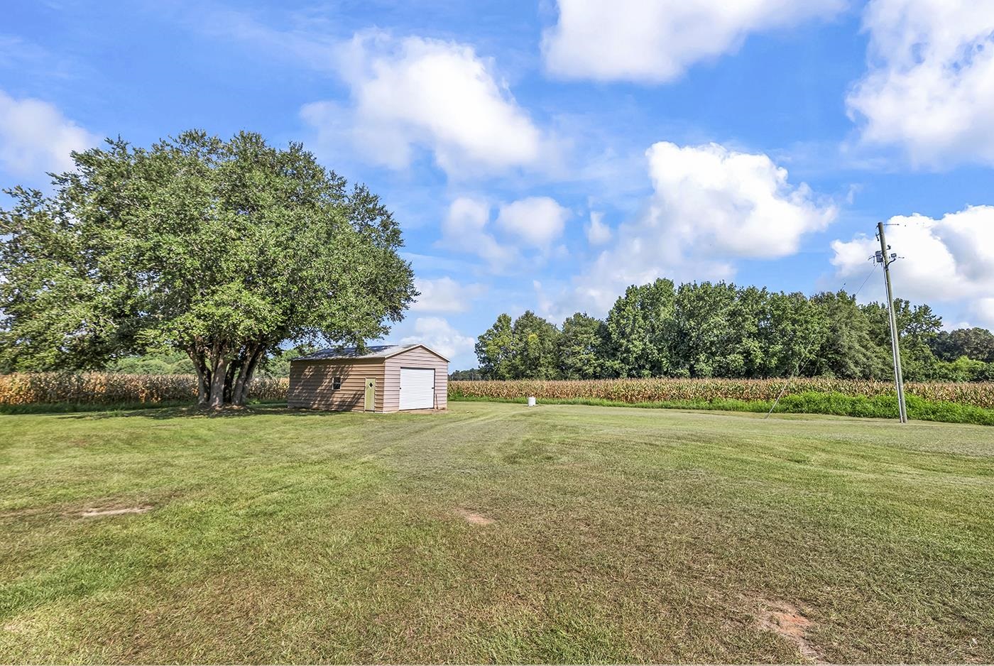 3568 Alcolu St. Property Photo 4