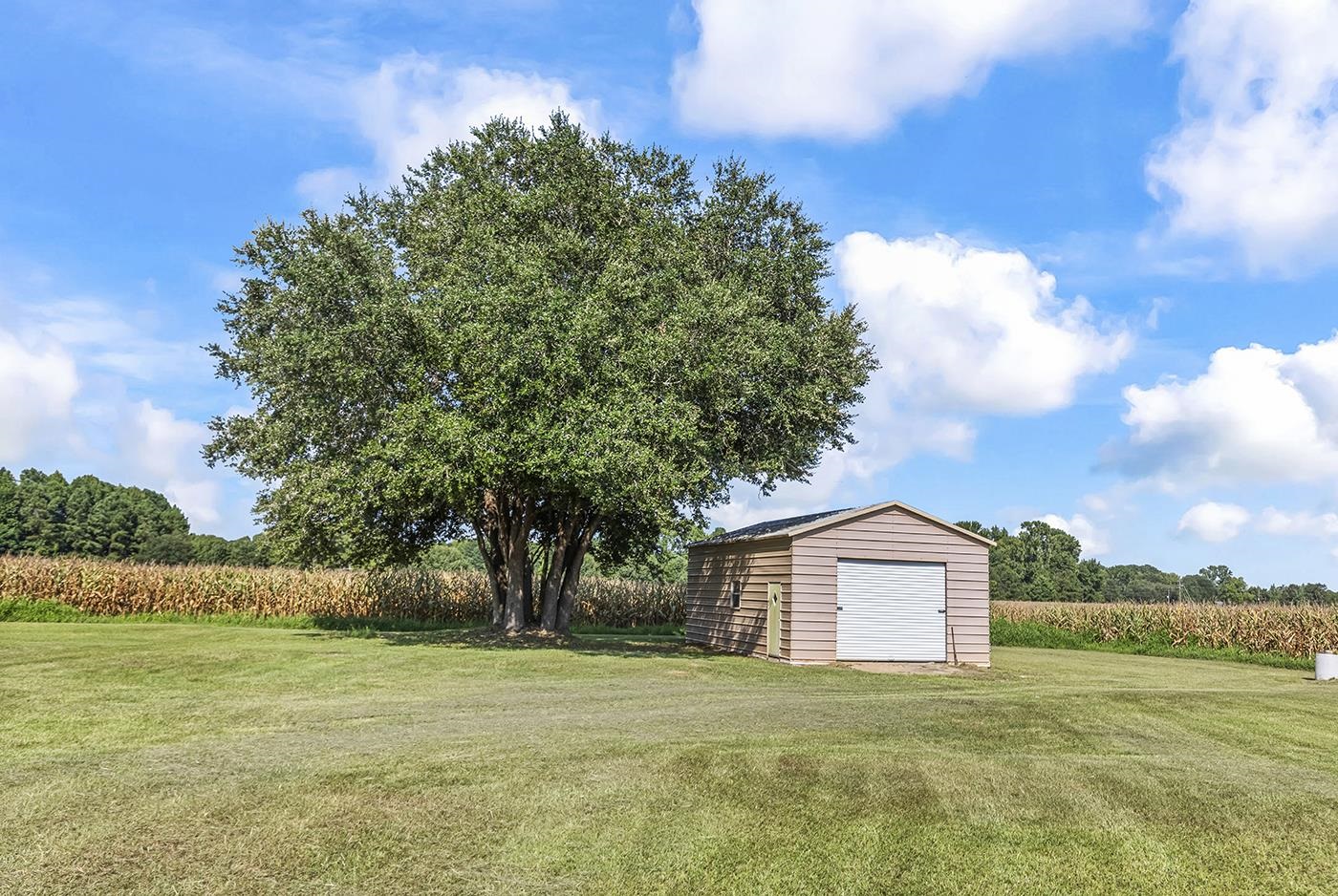 3568 Alcolu St. Property Photo 5