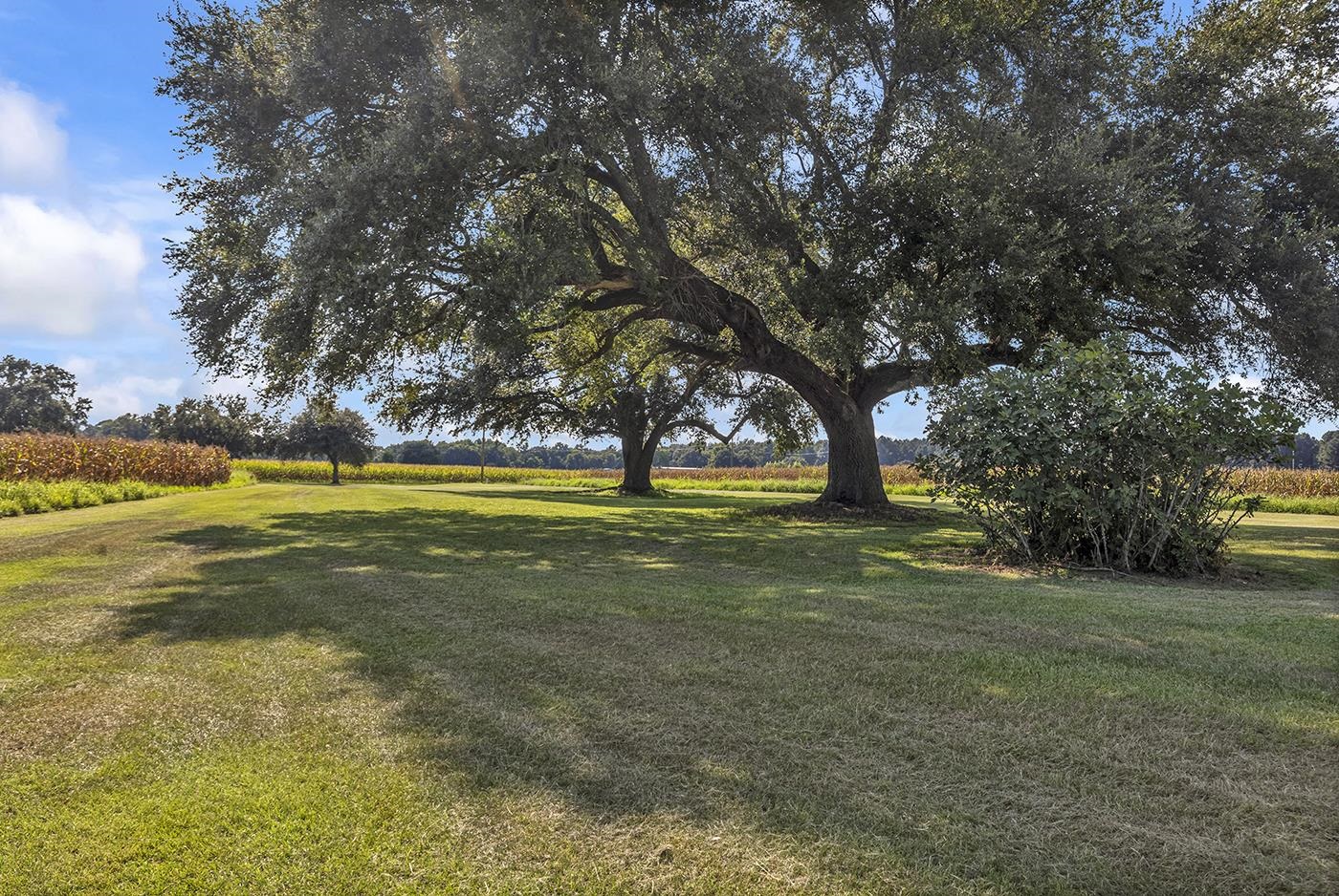 3568 Alcolu St. Property Photo 6