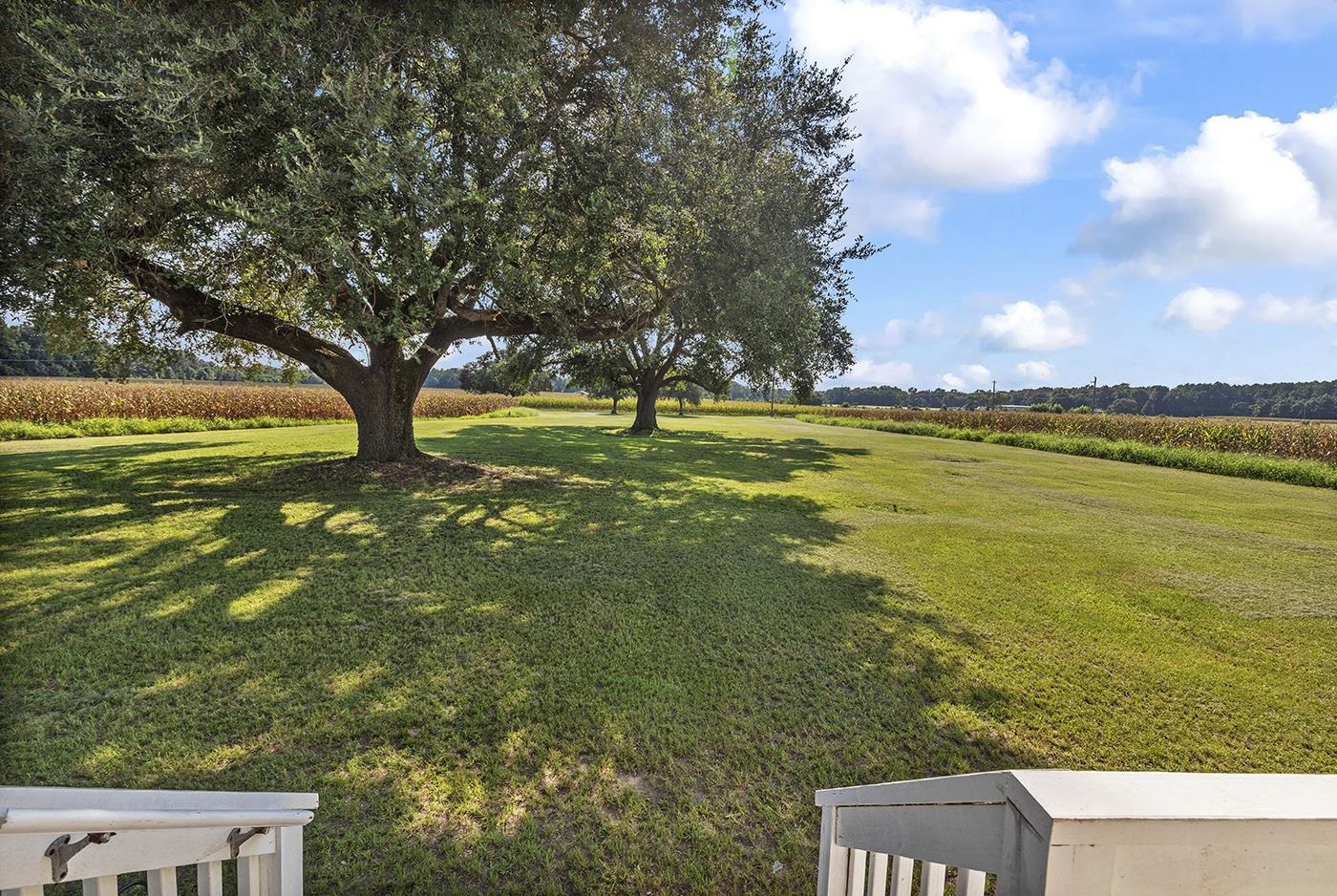 3568 Alcolu St. Property Photo 9