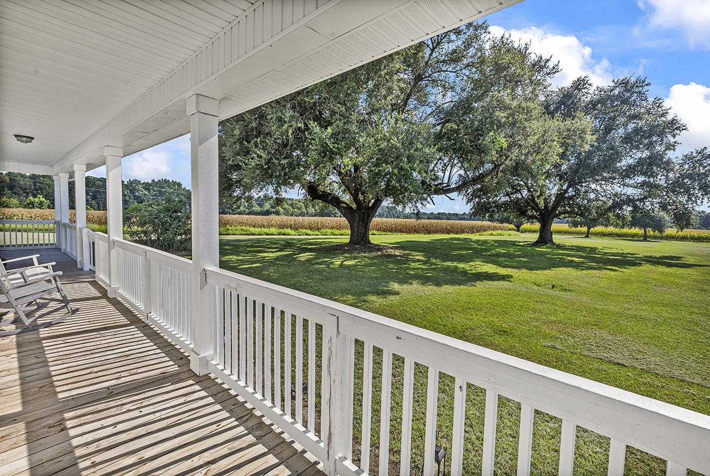 3568 Alcolu St. Property Photo 11