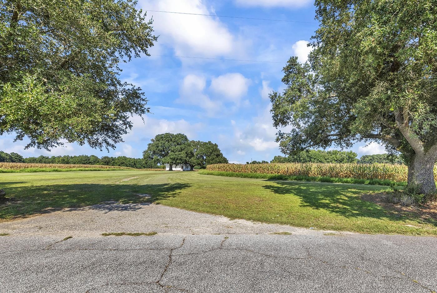 3568 Alcolu St. Property Photo 15