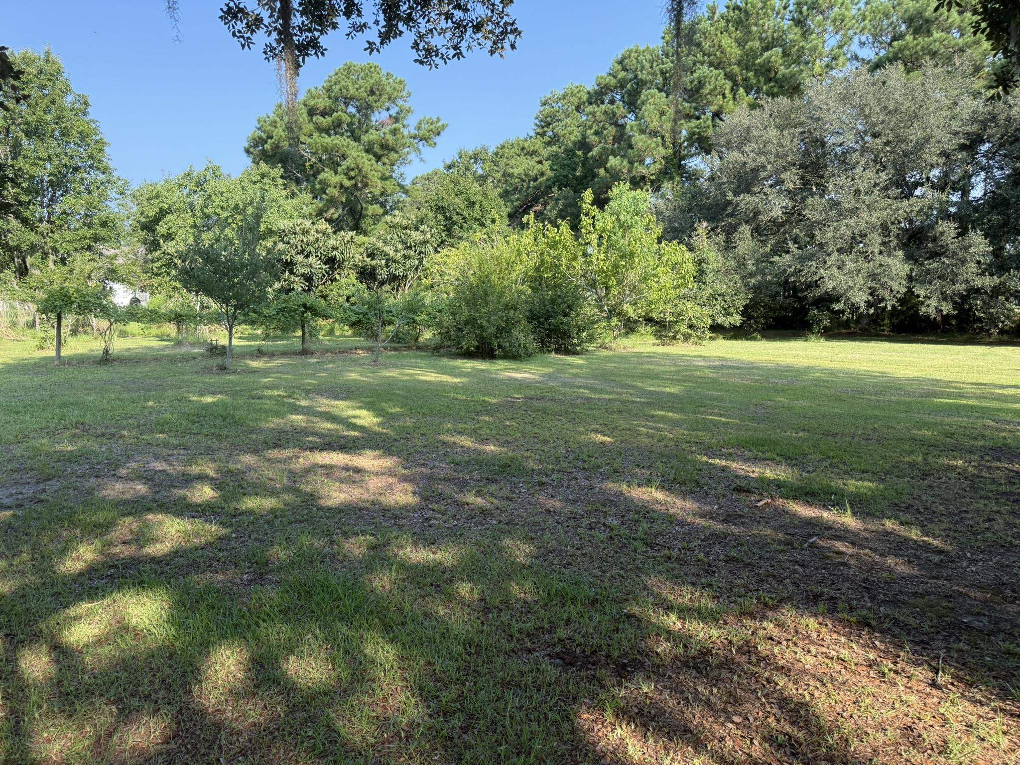 236 Wraggs Ferry Rd. Property Photo 6