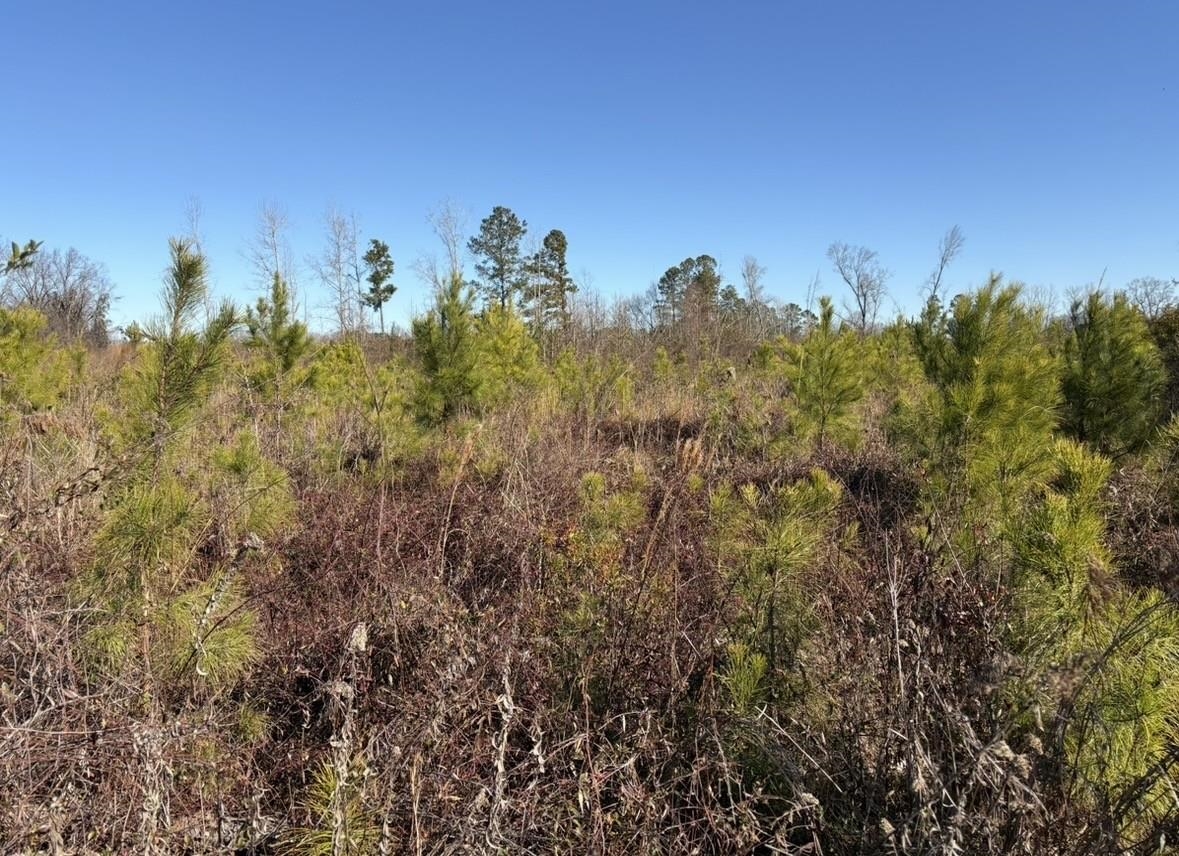 Tbd Vincent Rd Property Photo 2